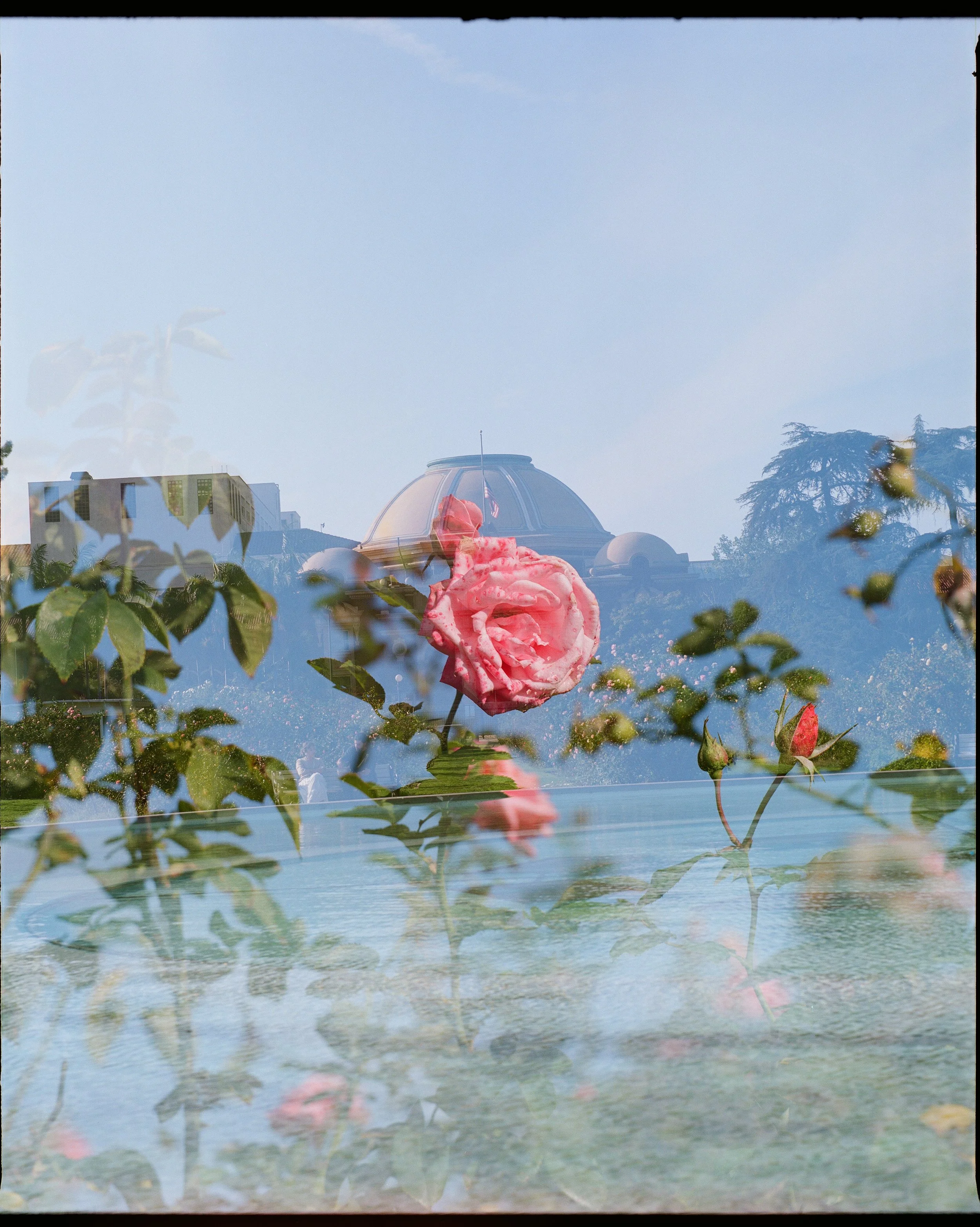 I finally shot a double exposure on PURPOSE and I love the outcome! I cooked, right??