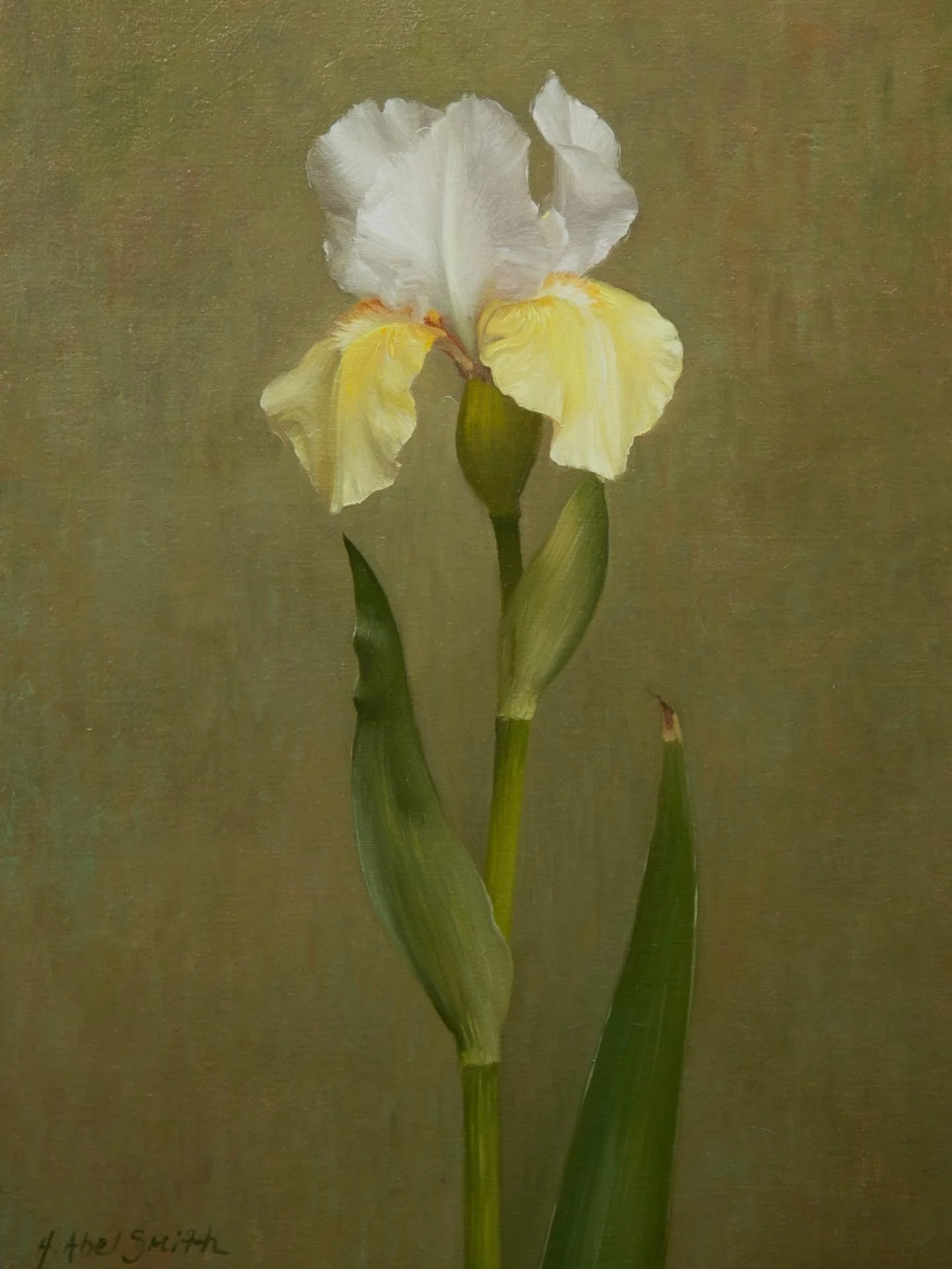 Iris, 10 x 14 inches, oil on canvas 

I absolutely love being in nature and I think its why I paint flowers while living in London as it keeps me connected the countryside where I grew up. Last year I wasnt very well and had to take some time off wor