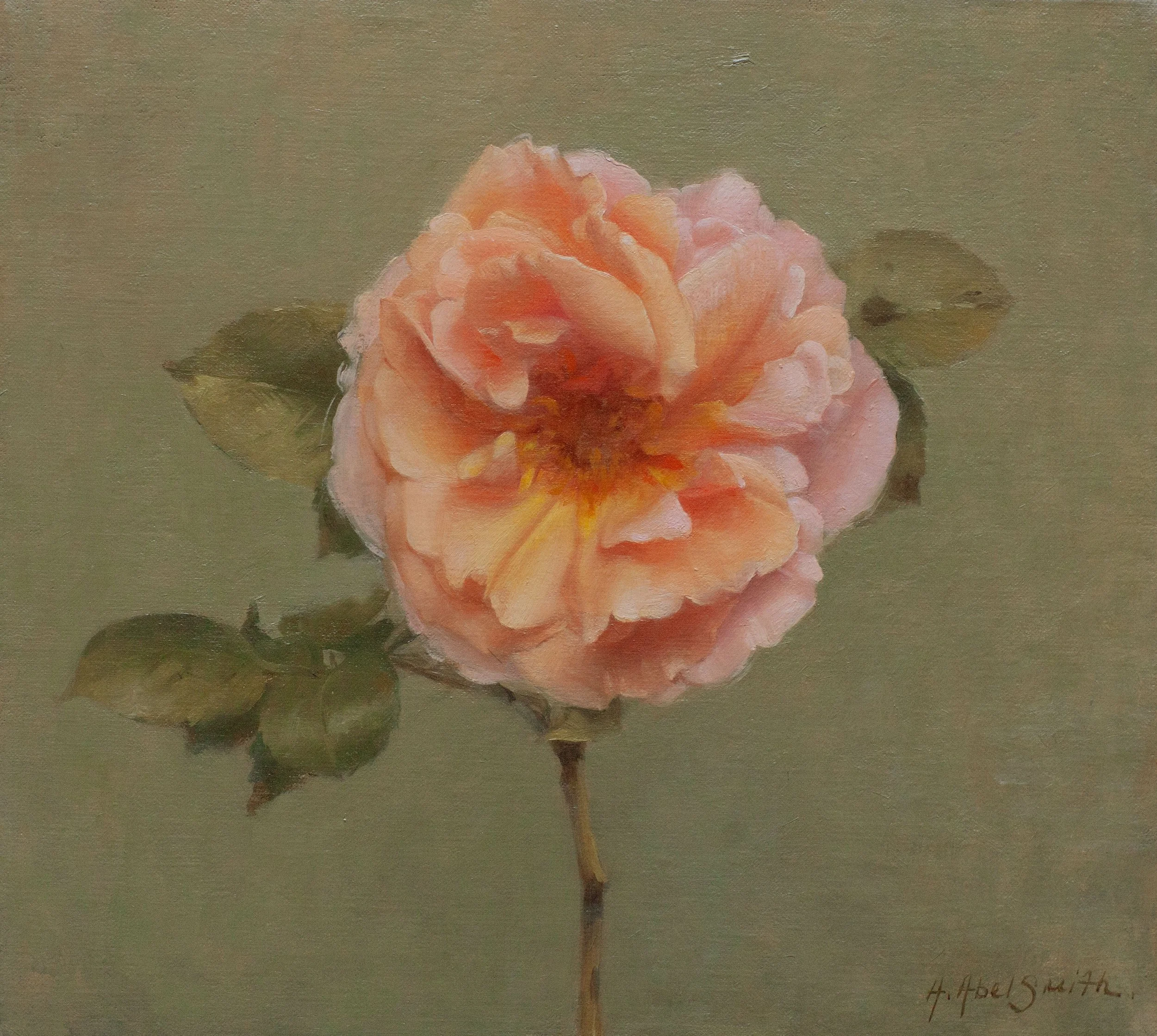 'Rose Study', 10 x 9 inches, oil on canvas, £1200 inc VAT. (Needs a couple of weeks to dry before shipping) SOLD