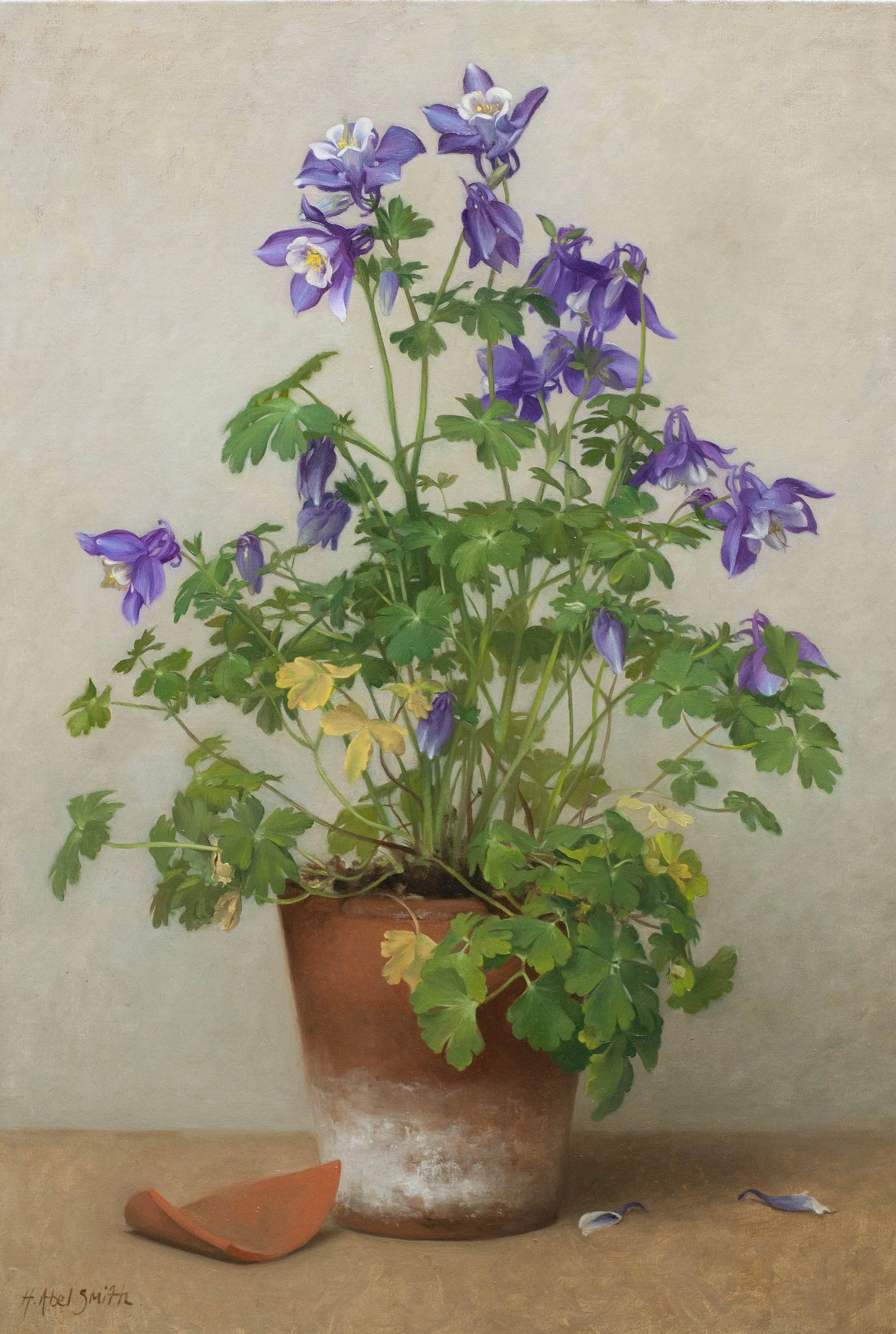 'Aquilegia', 17 x 25 inches, oil on canvas, £5000 inc VAT SOLD