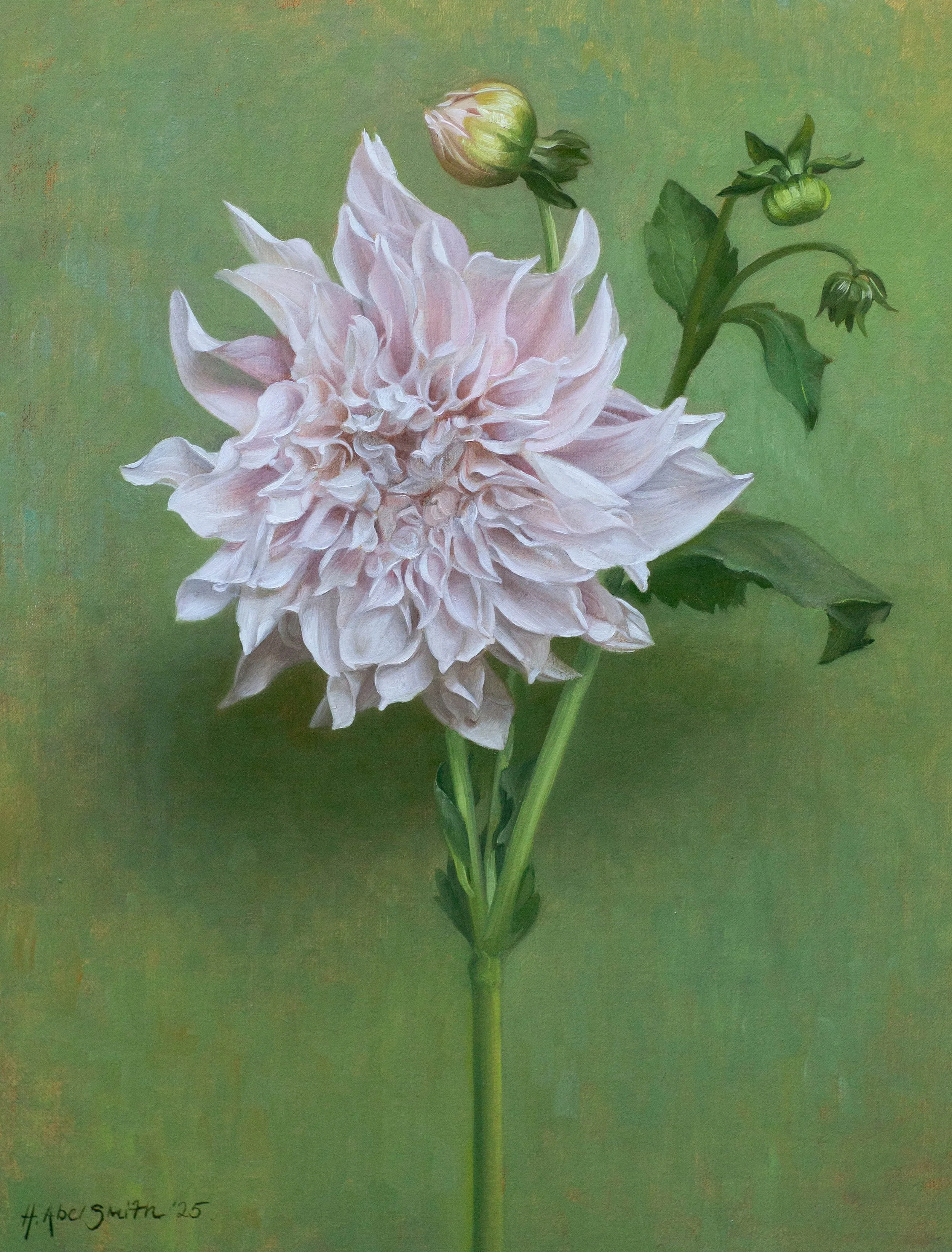 'Cafe au Lait Dahlia', 17 x 13 inches, oil on canvas, £2600 inc VAT SOLD