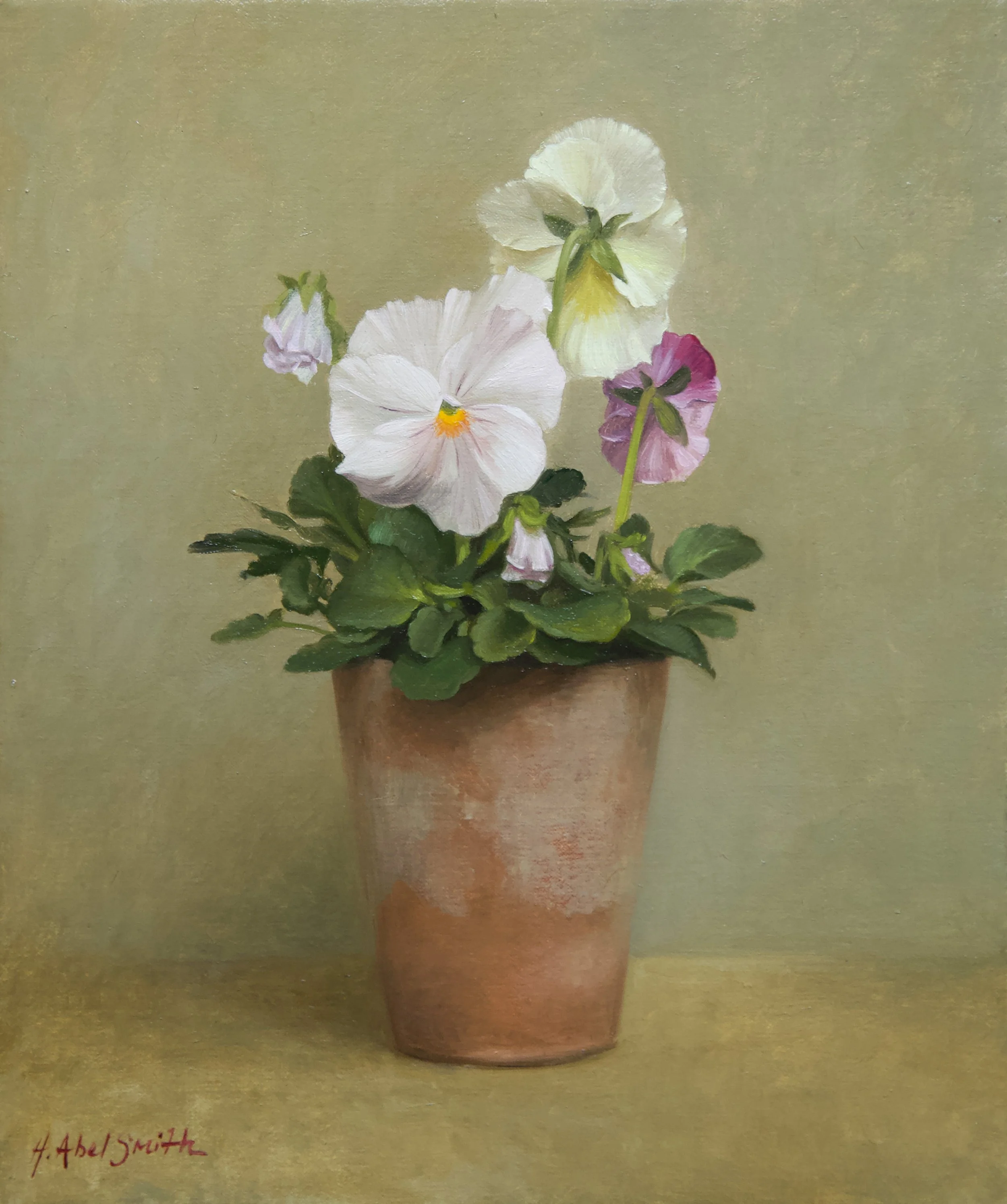 Potted Pansy.jpg
