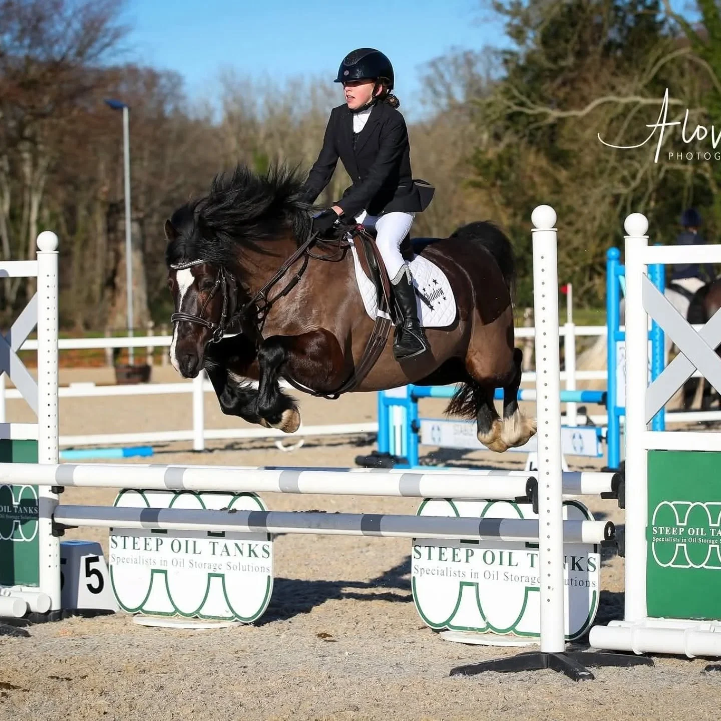 No Stress Winter Showjumping Series at Wood Farm 