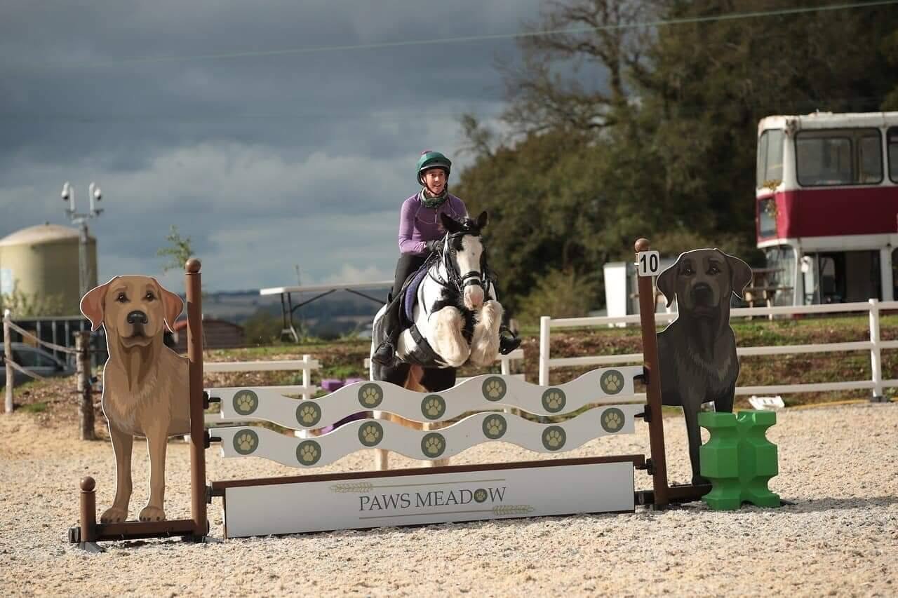 Wood Farm Equestrian Fun Clear Round Training Show 