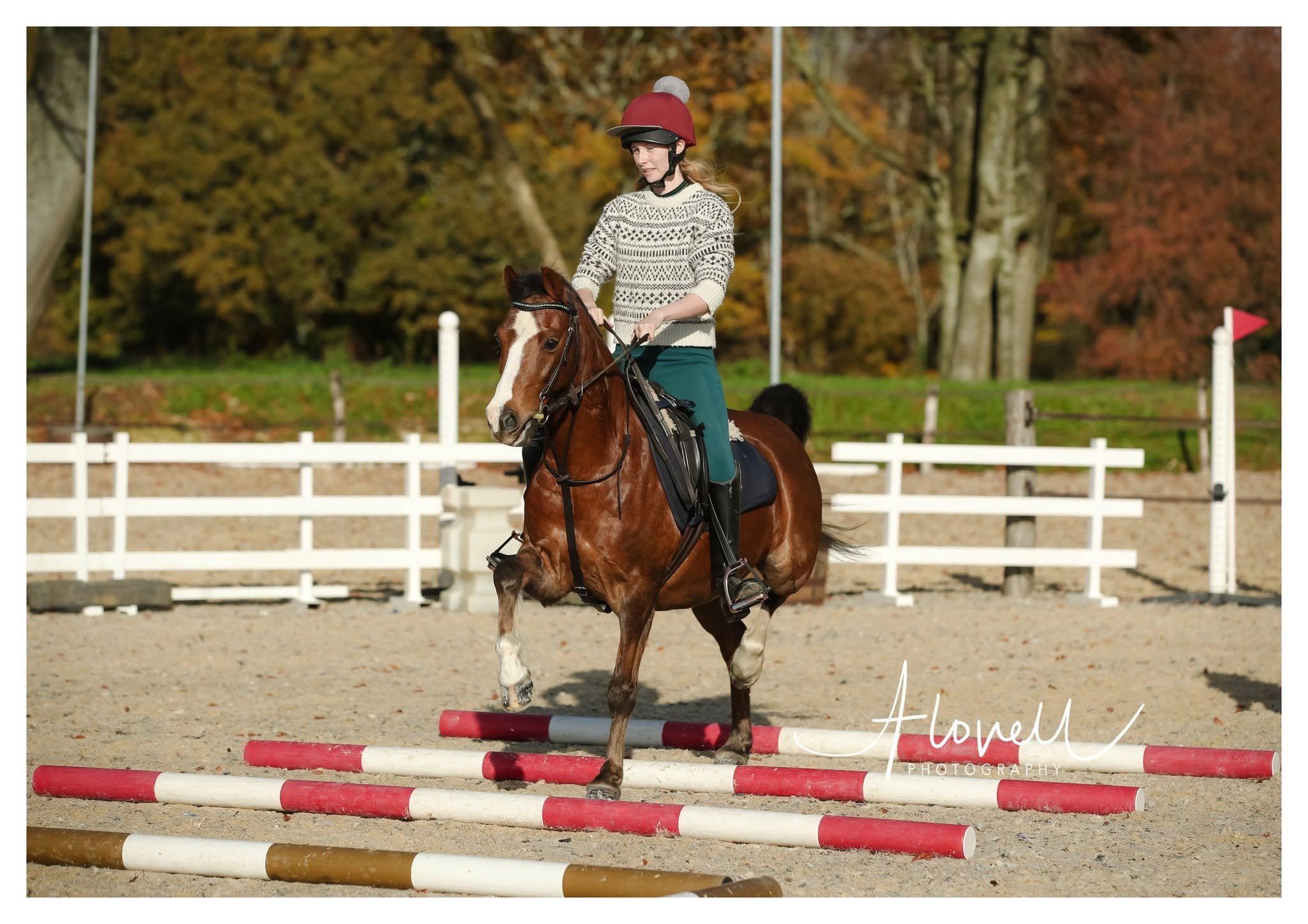 Wood Farm Equestrian Pole Clinic With Cheryl Bezants