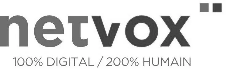 logo-netvox.jpg
