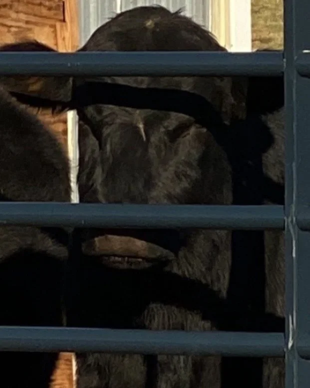 K & P Farms photo 6