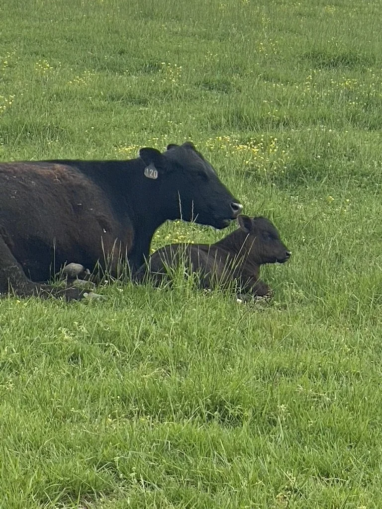K & P Farms photo 7