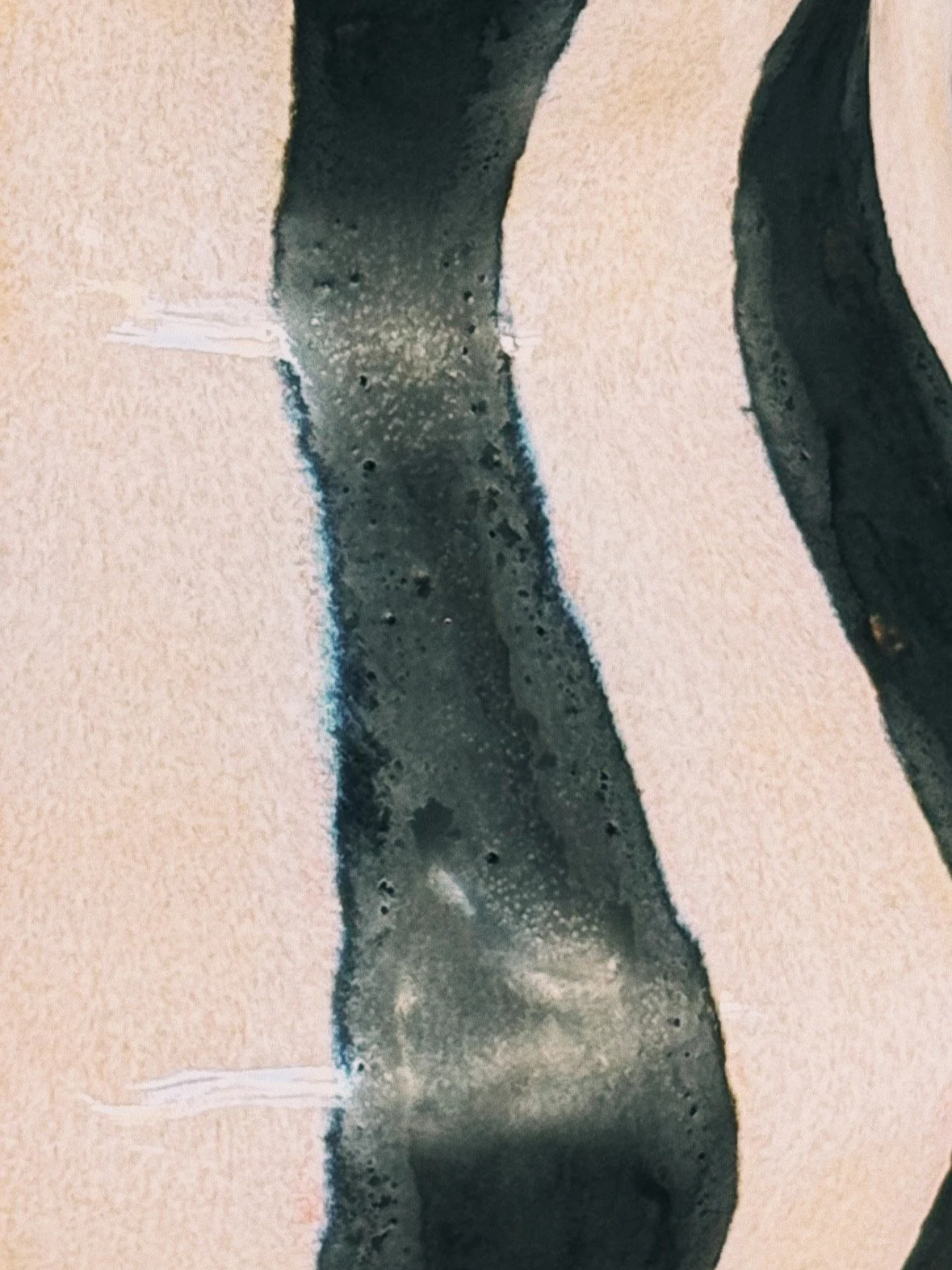 IMG_7922_VSCO.png