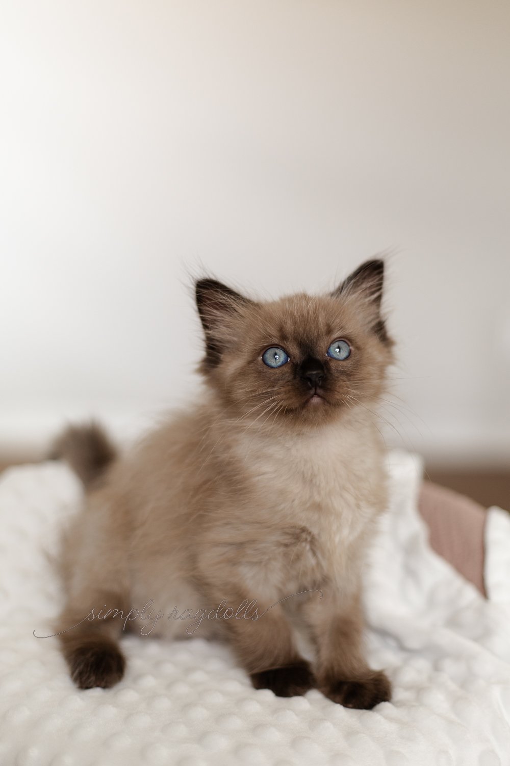 Phoebe2024 9 weeks-1.jpg