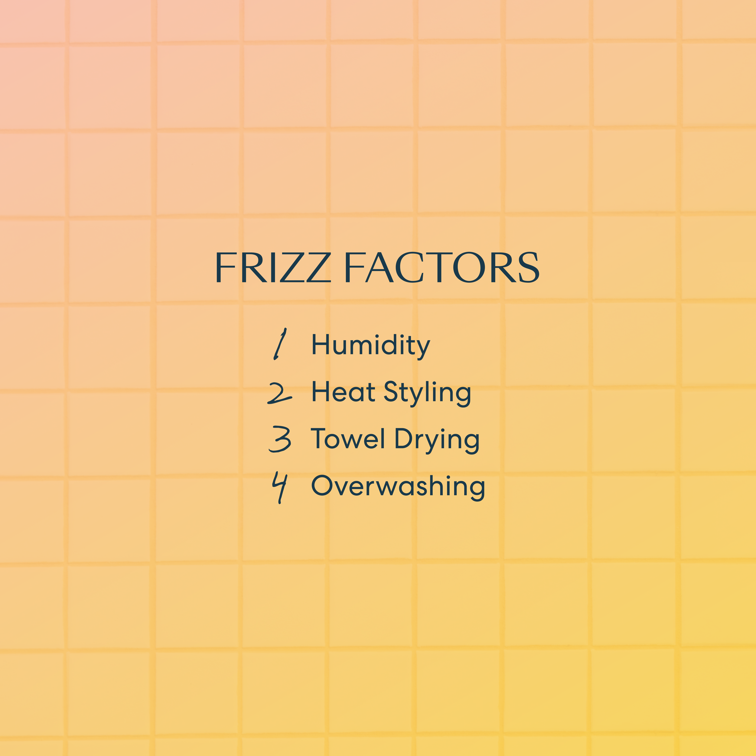 Social_02-06-FrizzFactors-02.png