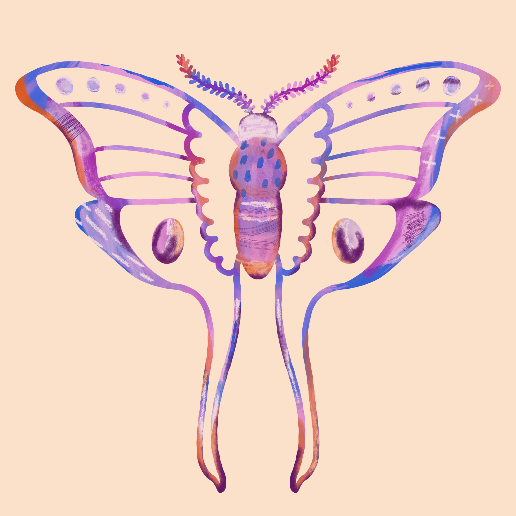 Psychadelic Moth.png