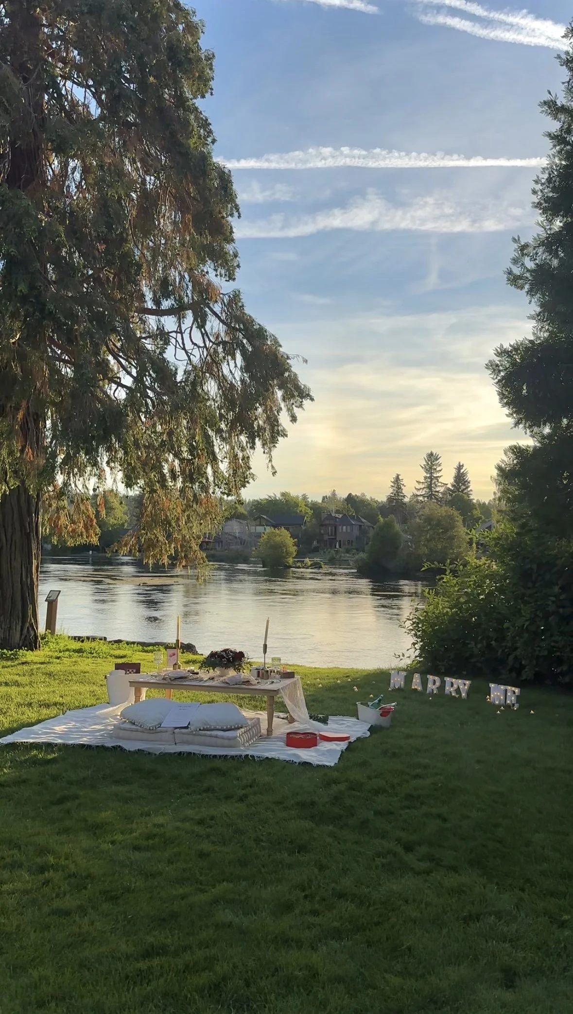 Luxury Picnic 