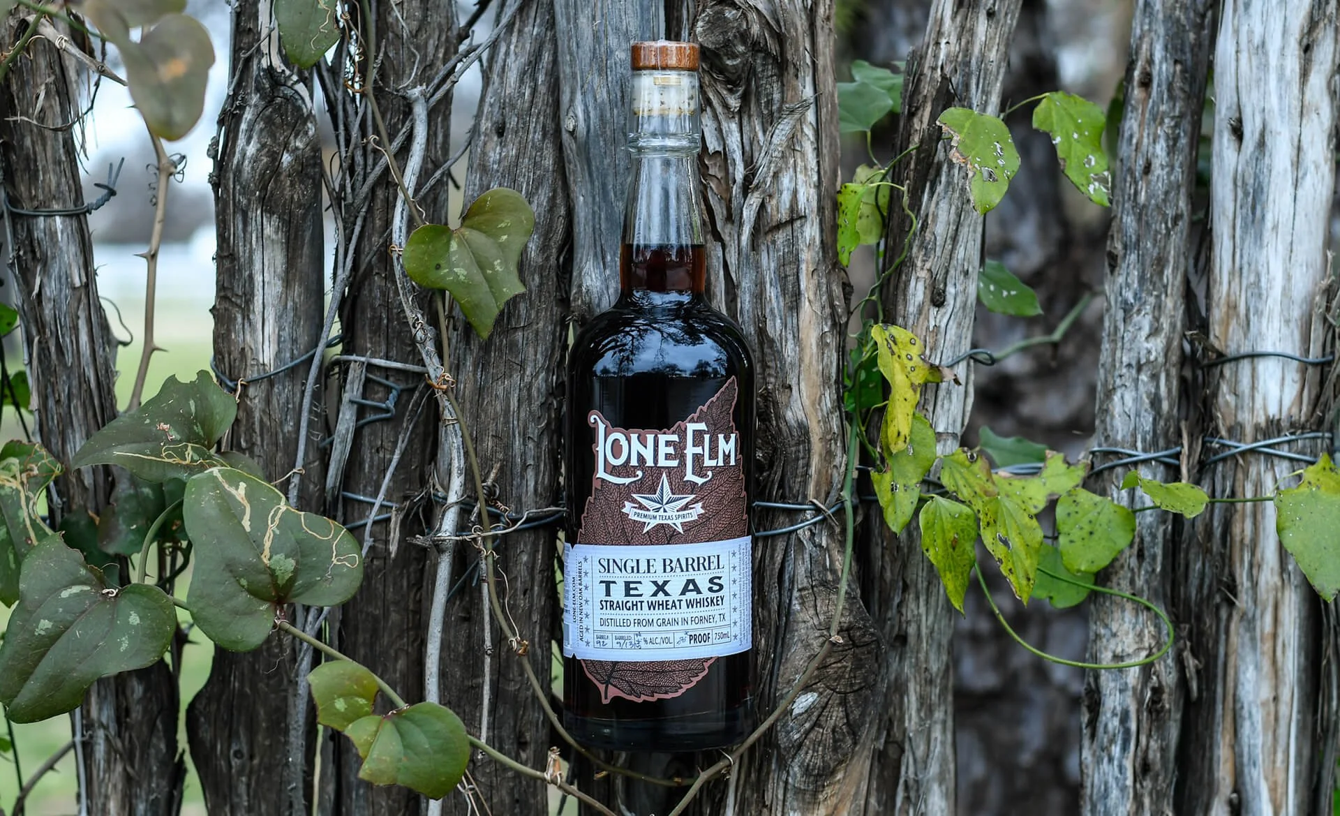 Lone Elm Whiskey Our Story Background.jpg