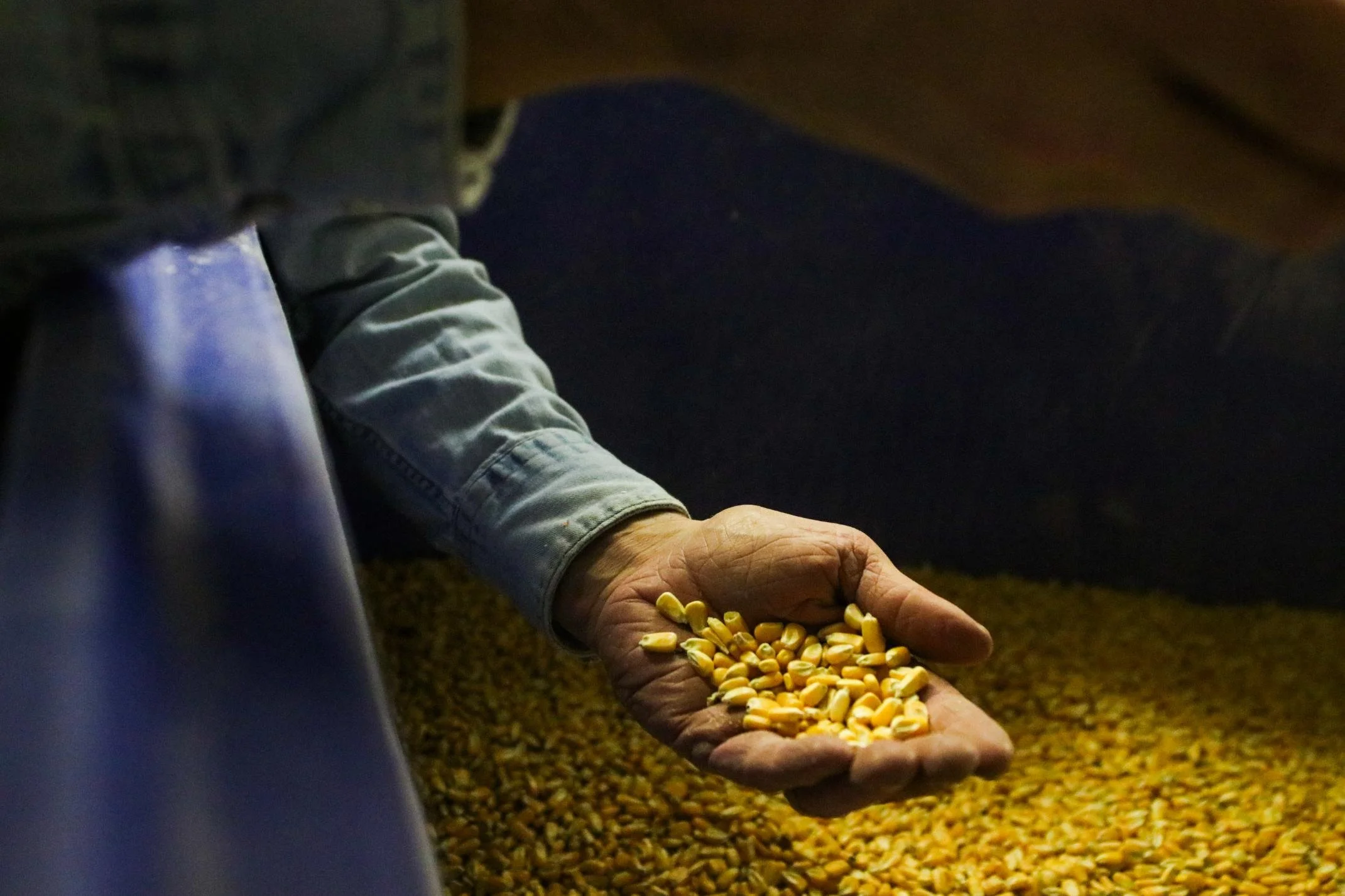 Tahwahkaro Distillery Distillery Floor View.jpg