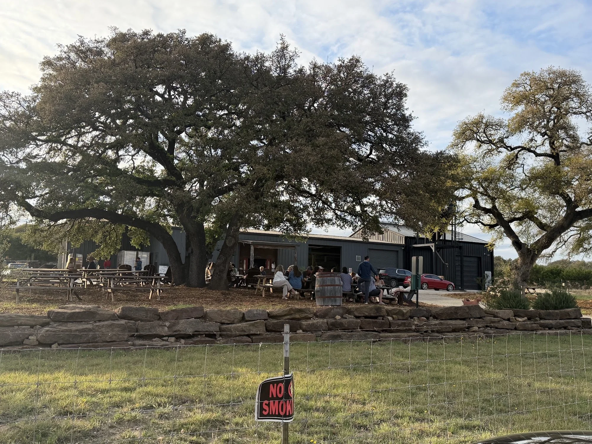 Milam and Greene guests patio oak trees.jpg