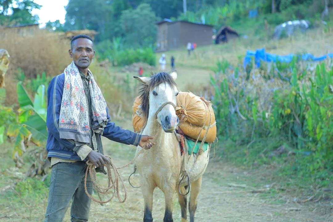 Ethiopia Inku Teklewold