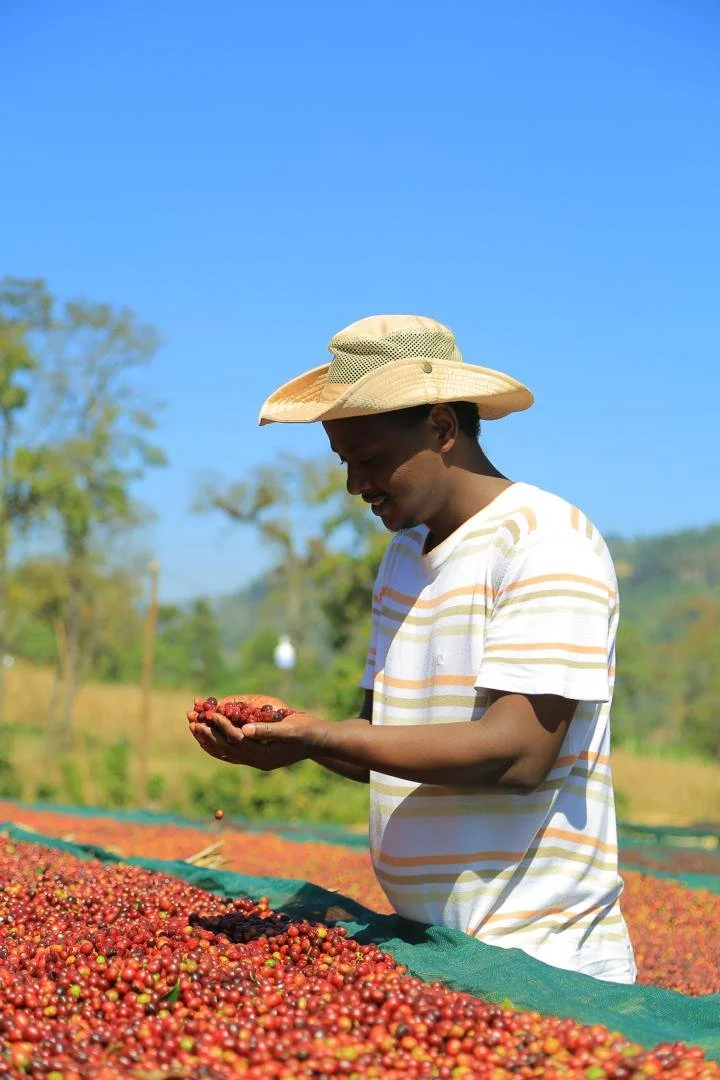 WhatsApp Image 2025-06-11 at 19.11.03 (6).JPEG