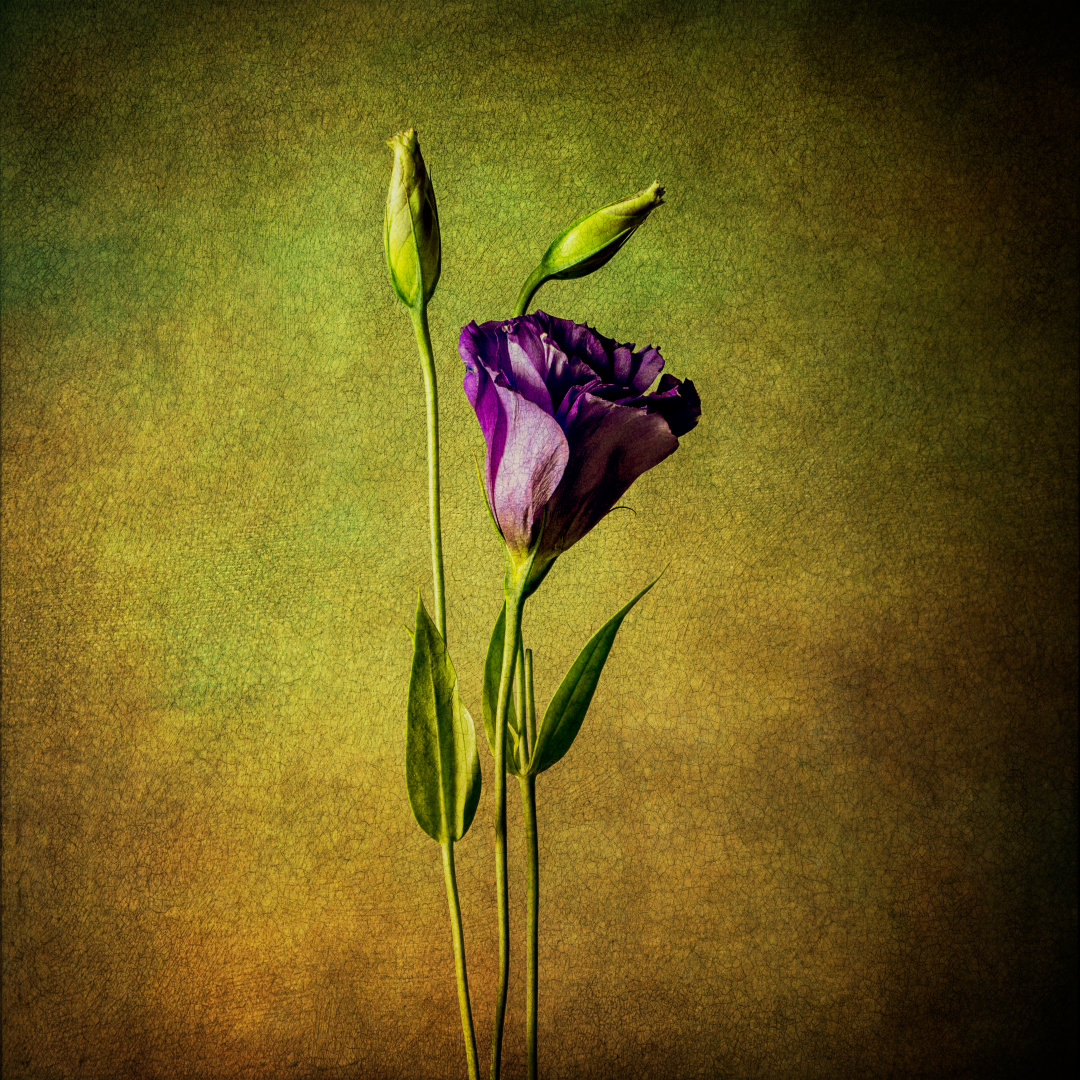 20230125_170628_2023-01-25 15-33-00 (B,R8,S4)-2 (Large).PNG