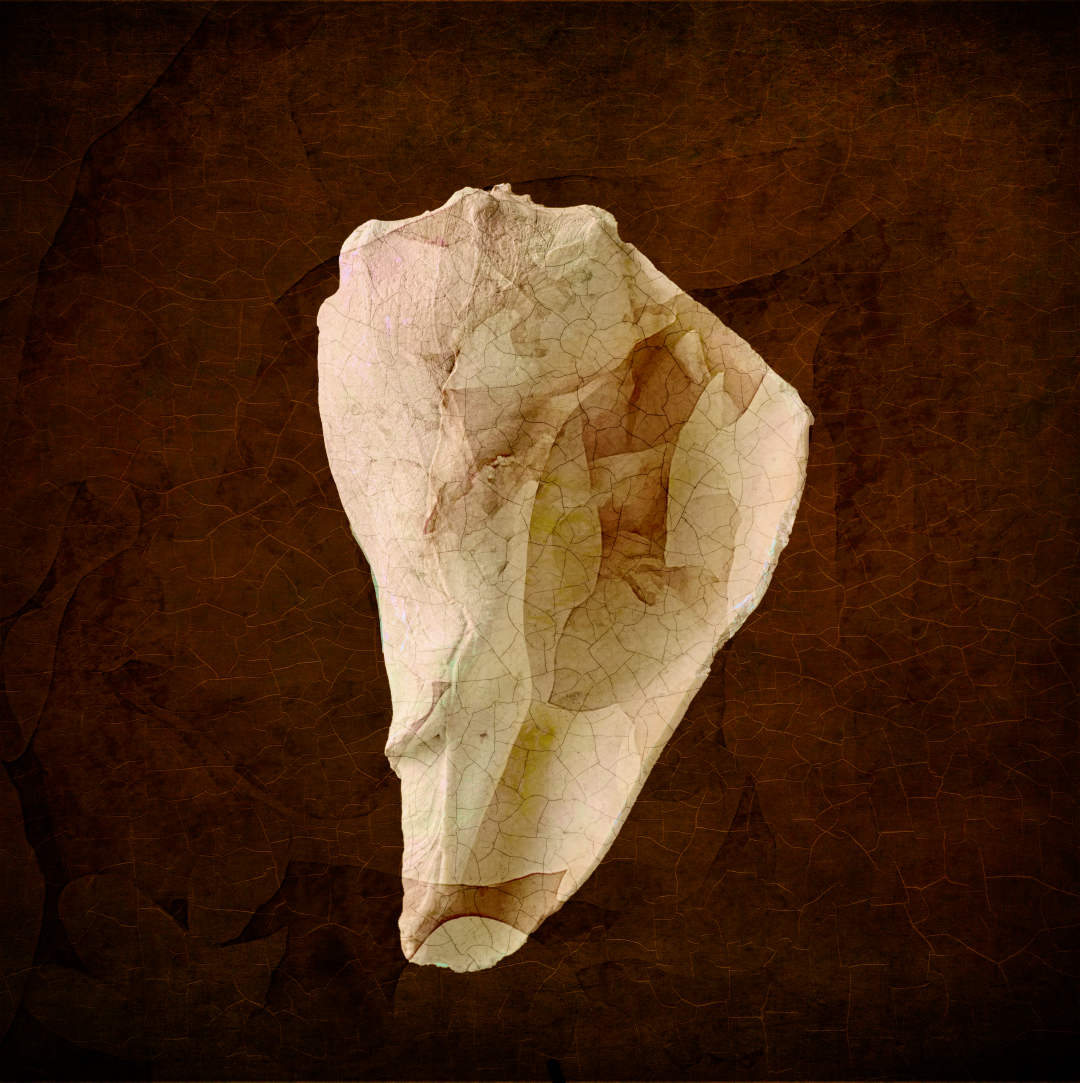 20230103_130028_20221223_0191 (Large).PNG