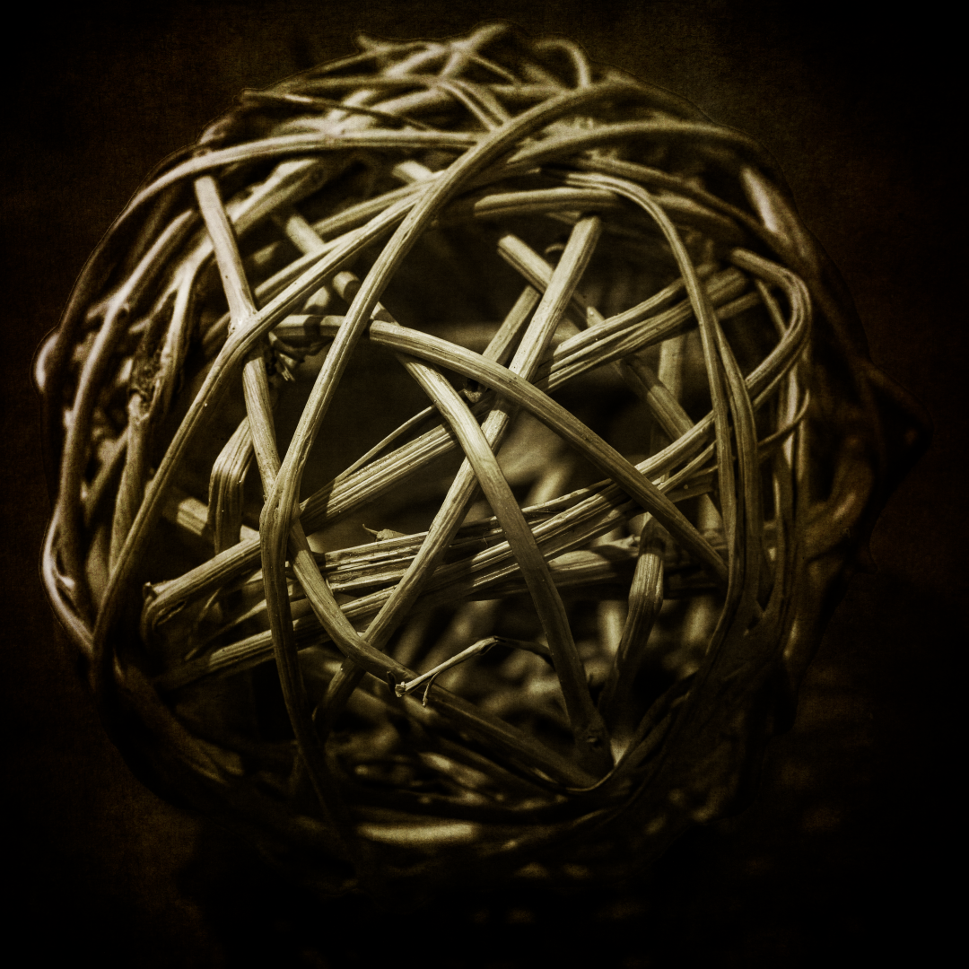 L1050046-Edit (Large).png