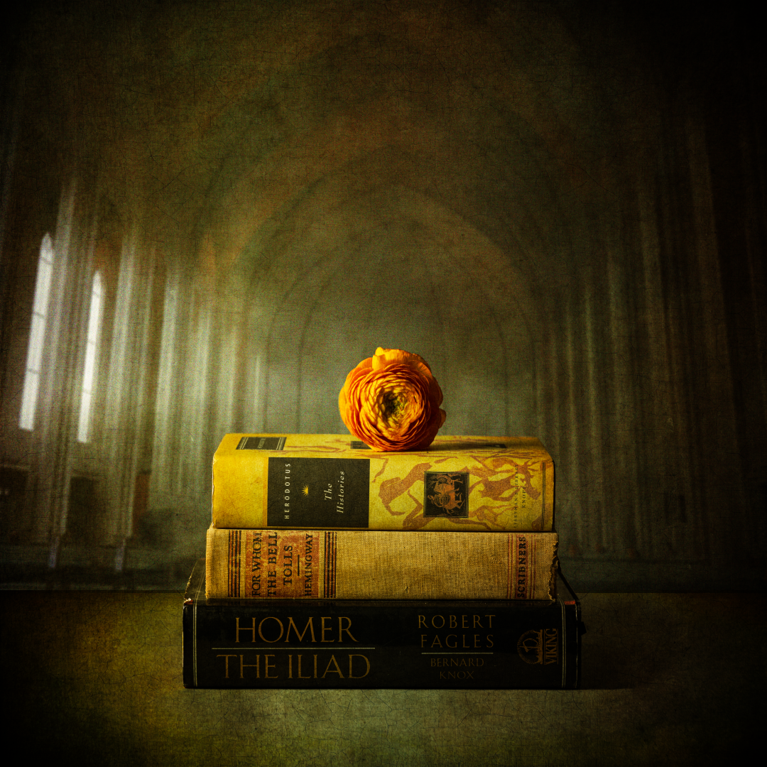 20230126_125827_Z72_0134 (Large).PNG