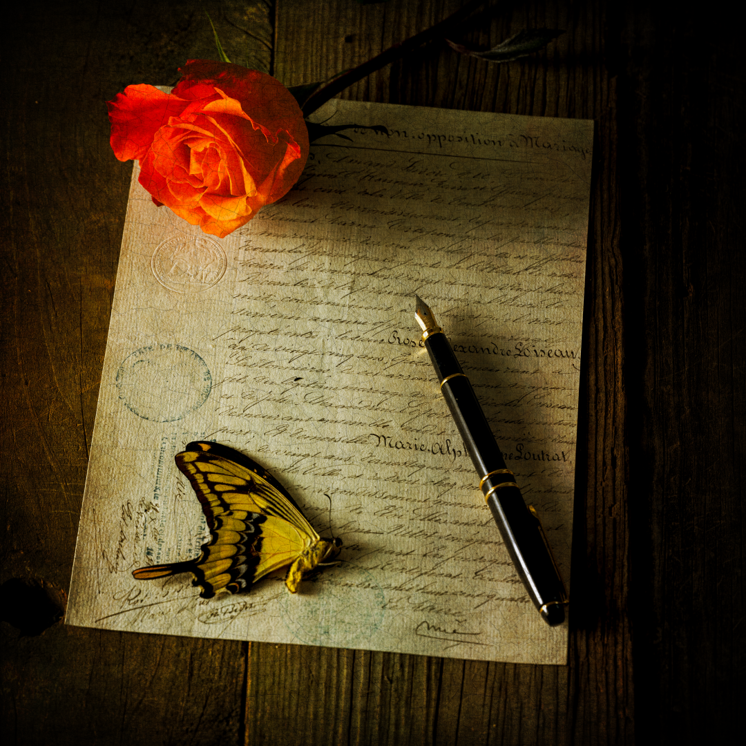 20230202_172222_Z72_0176 (Large).PNG