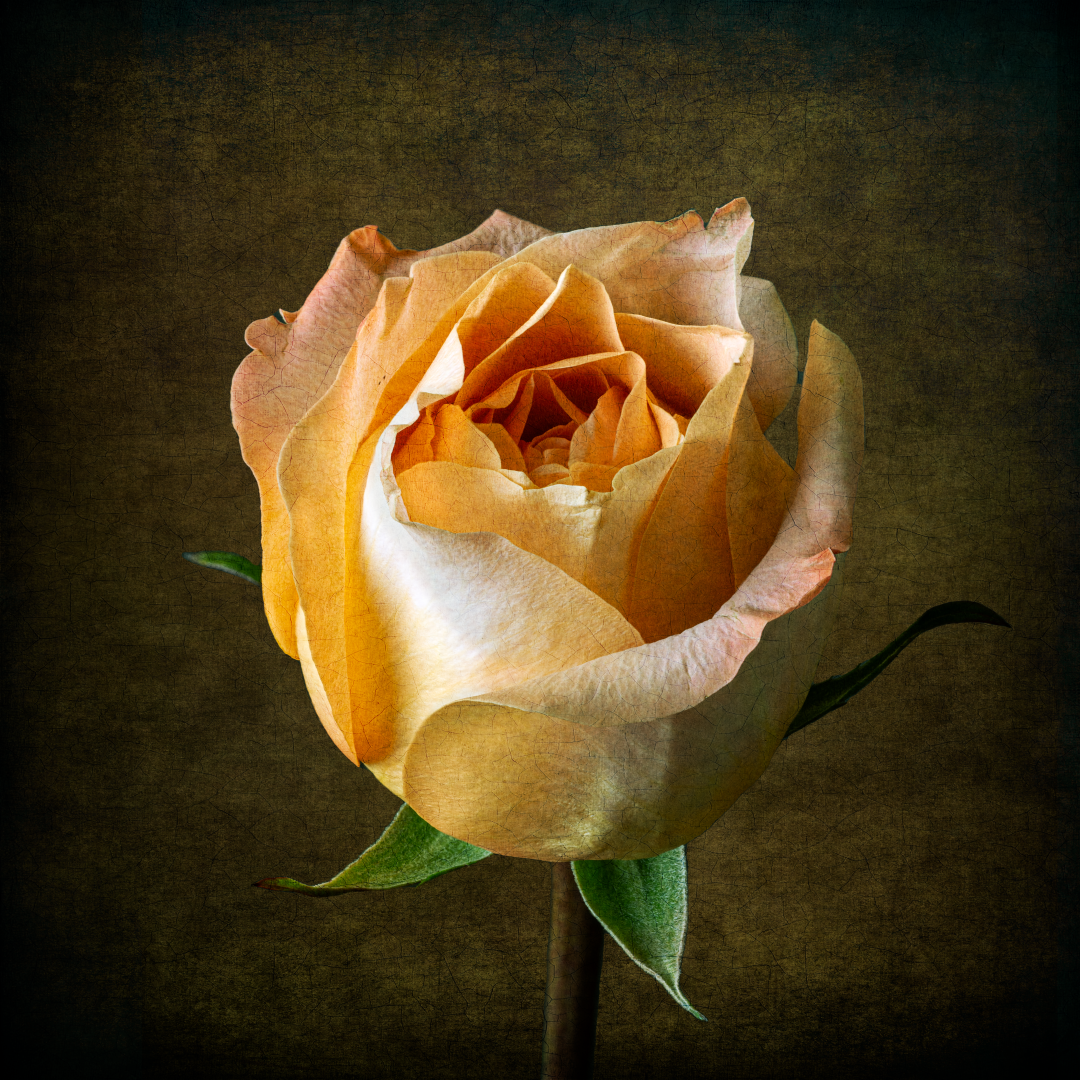 20230111_073358_2023-01-11 07-01-08 (B,R8,S4)-2-Edit (Large).PNG