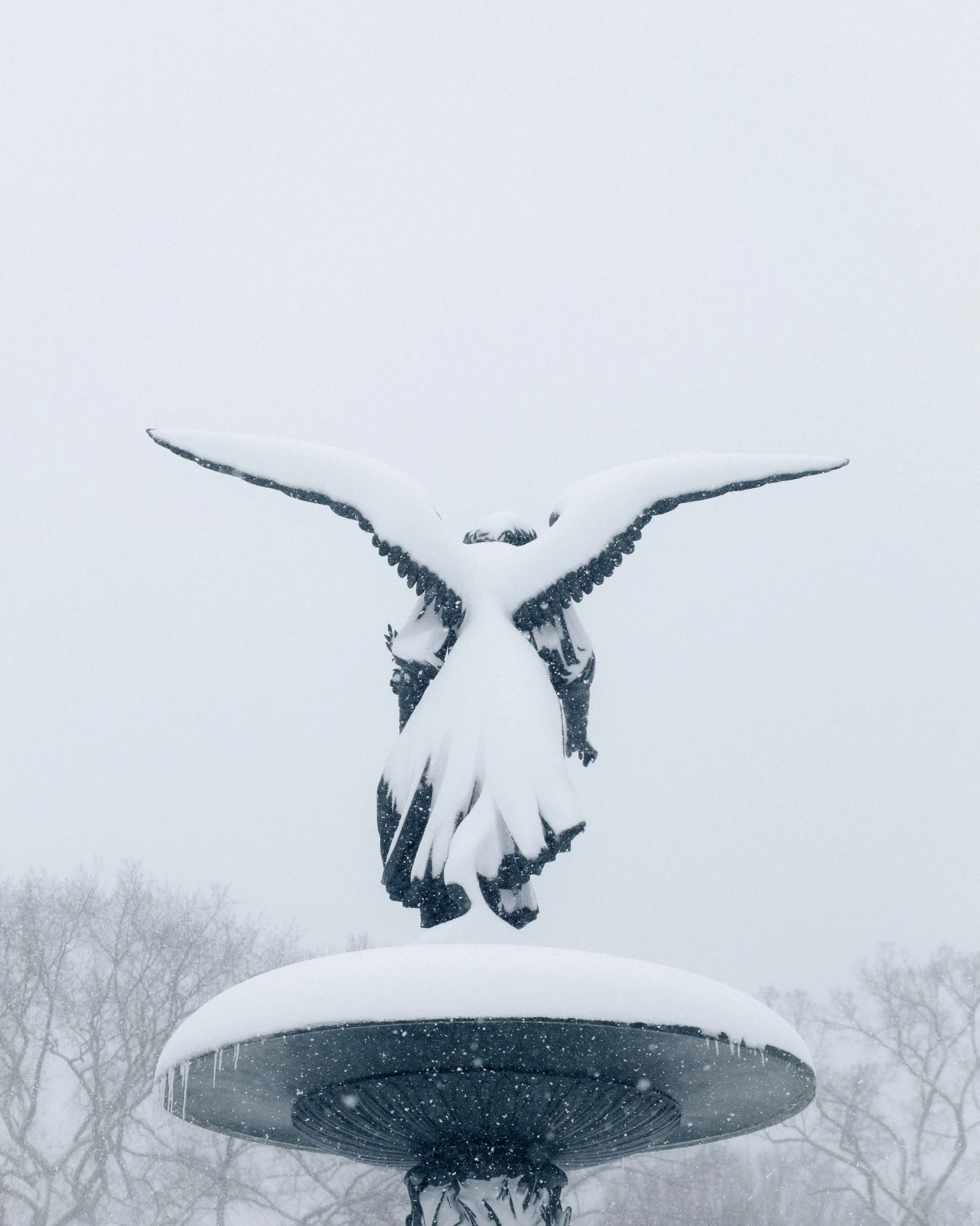 260223_BlizzardOf26_11.jpg