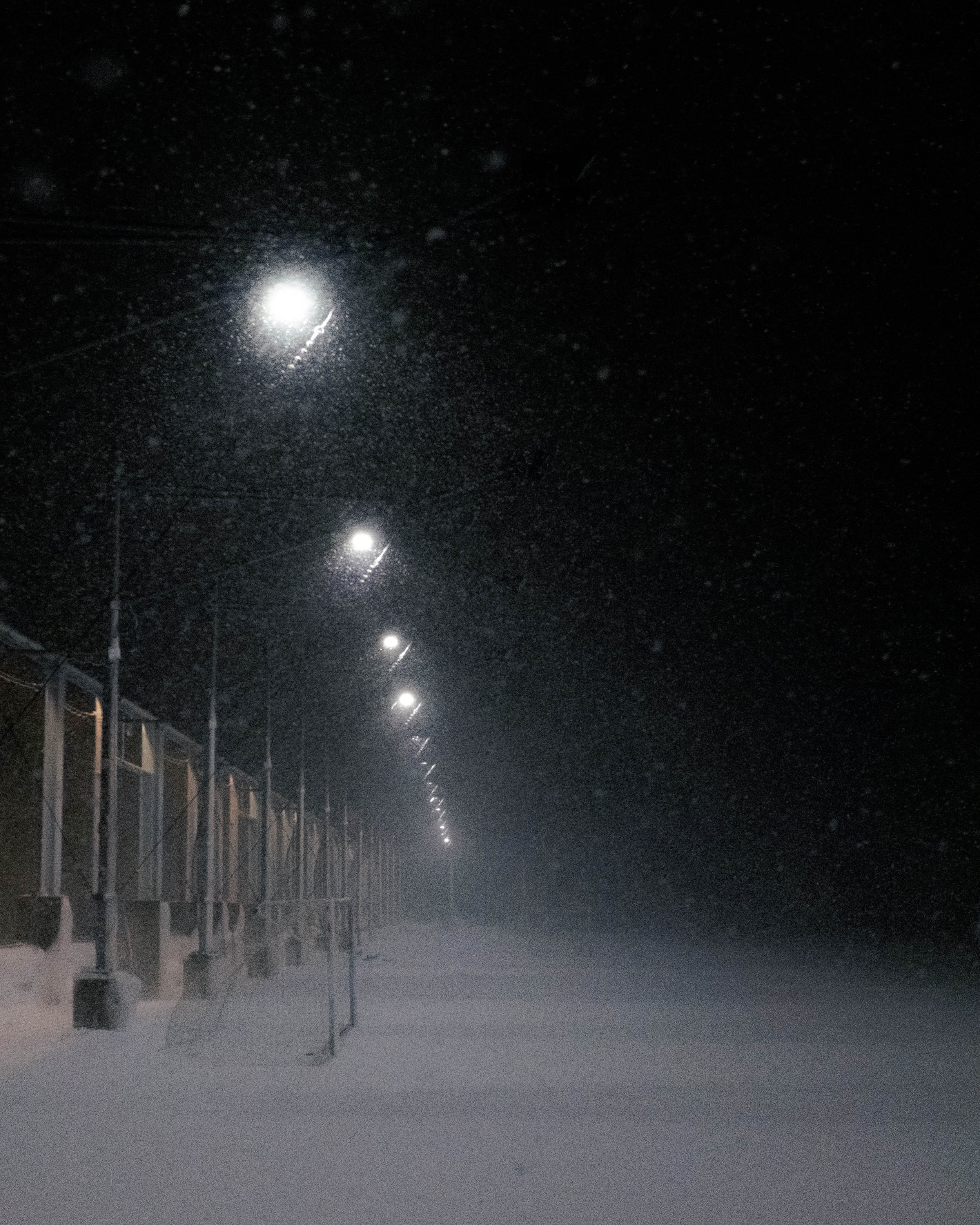 260223_SnowDayNight_9.jpg