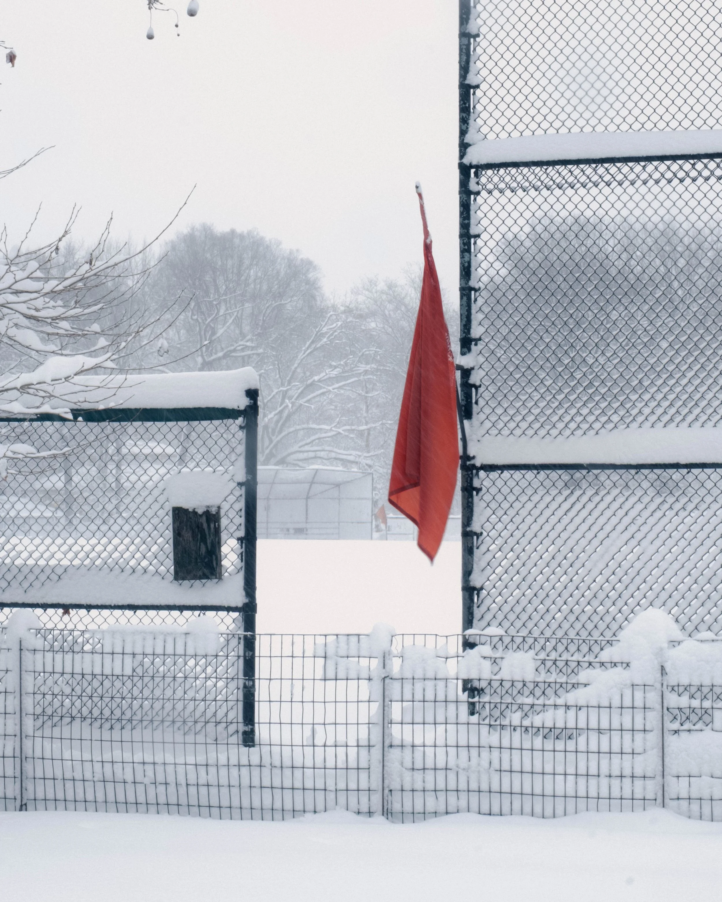 260223_BlizzardOf26_5.jpg