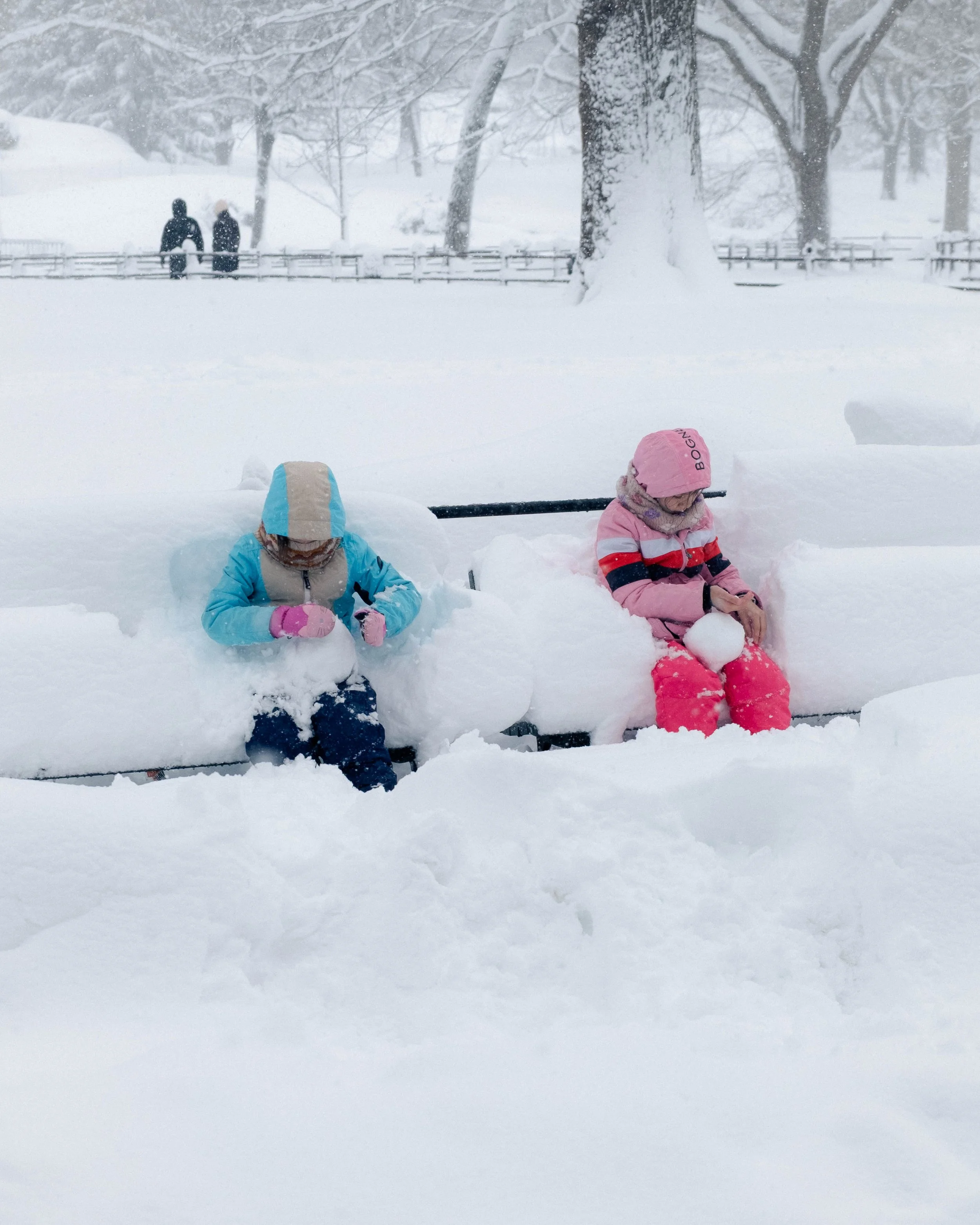 260223_BlizzardOf26_8.jpg