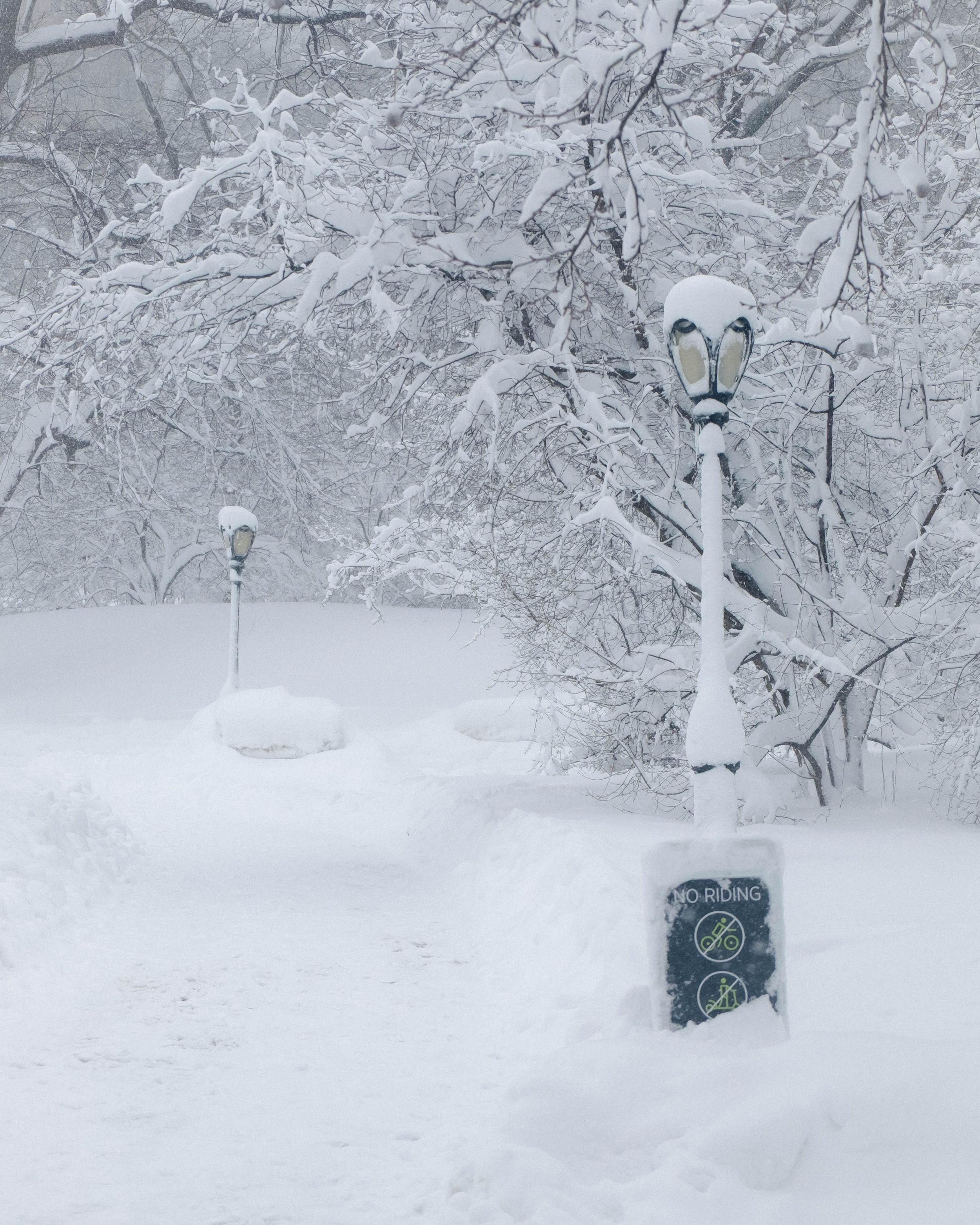260223_BlizzardOf26_13.jpg