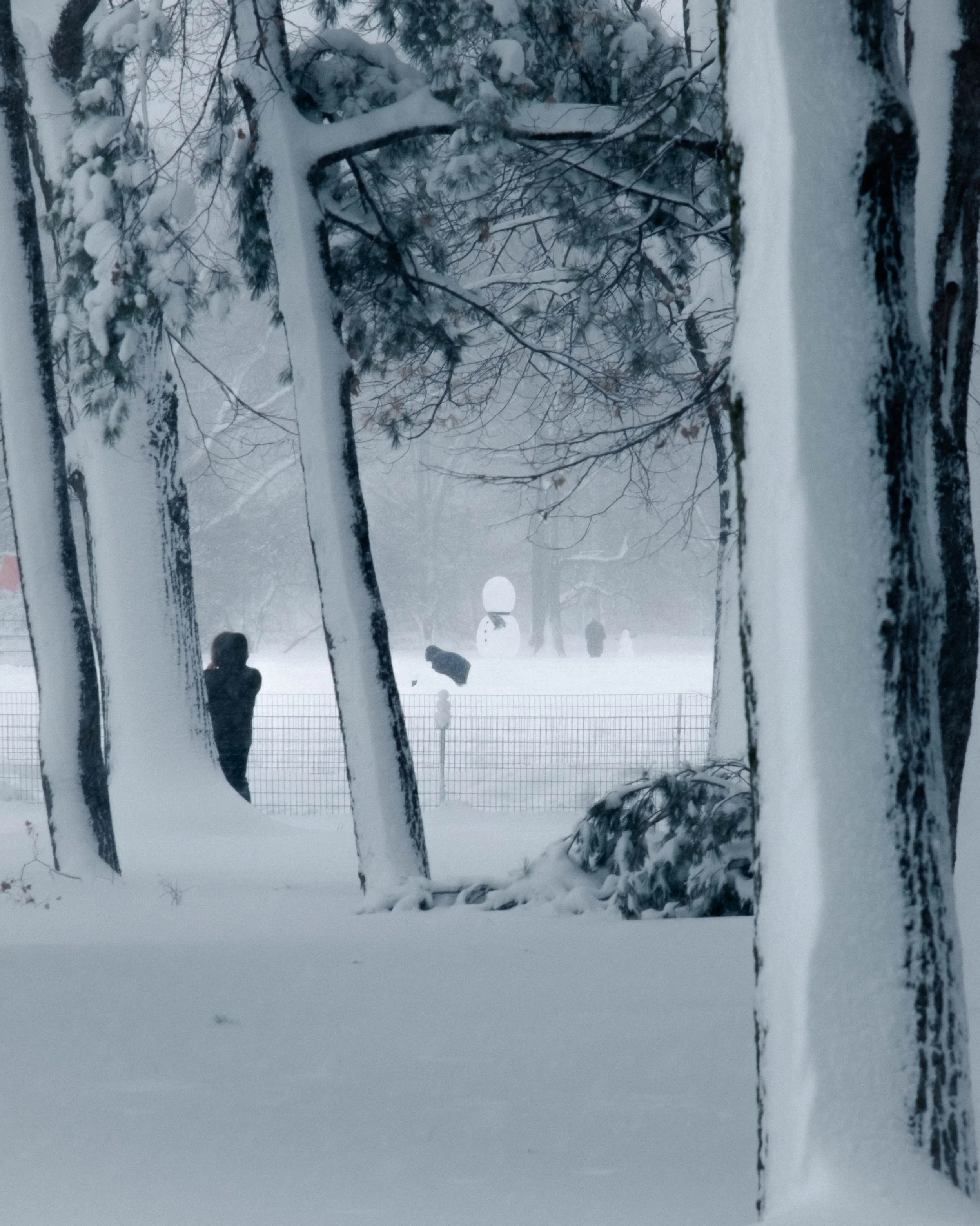 260223_BlizzardOf26_27.jpg