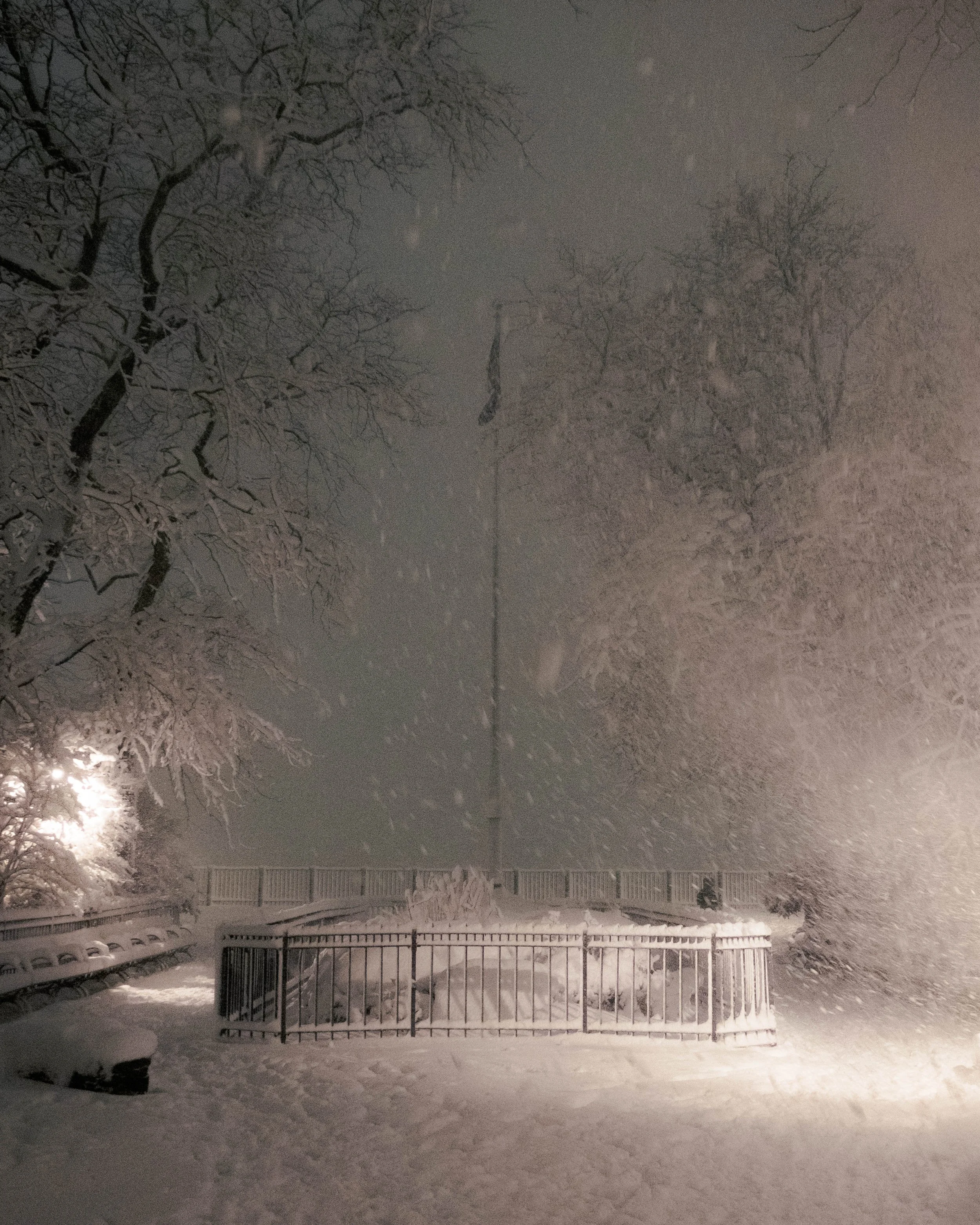 260222_SnowDayNight_4.jpg