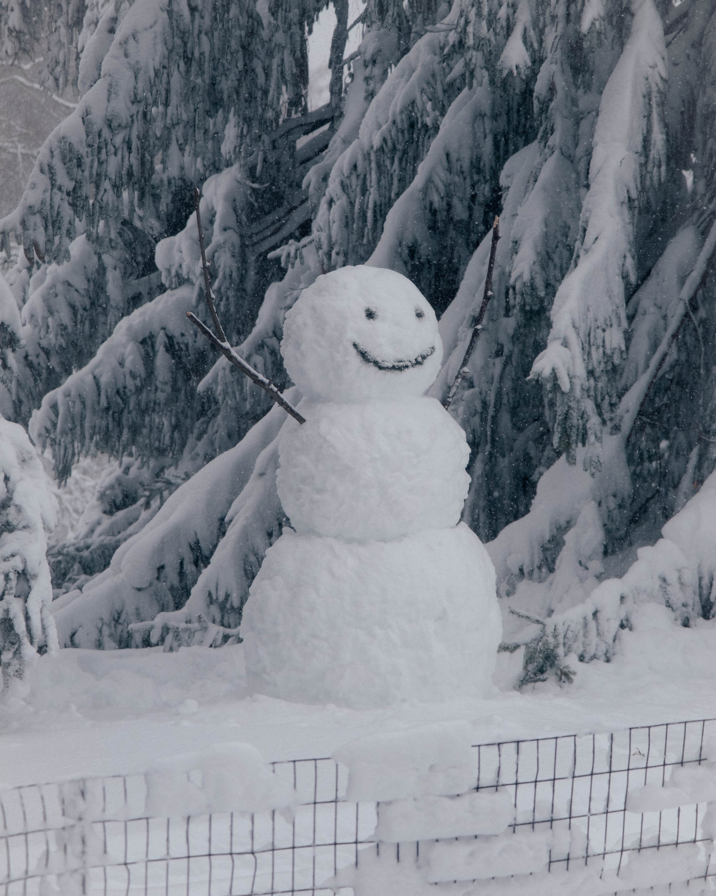 260223_BlizzardOf26_15.jpg