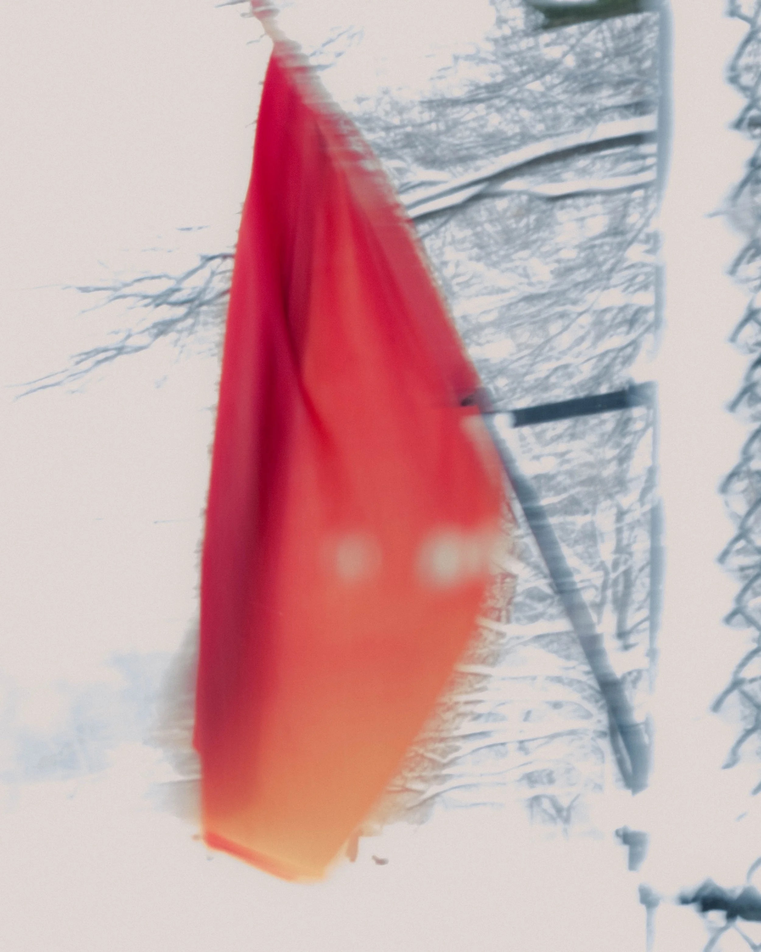 260223_BlizzardOf26_18.jpg