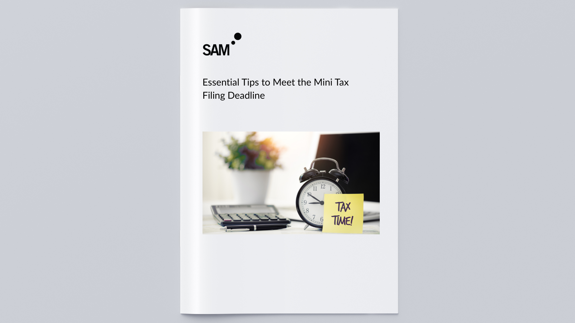 Essential Tips to Meet the Mini Tax Filing Deadline