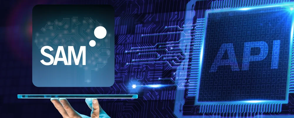 API Request | SAM Technology
