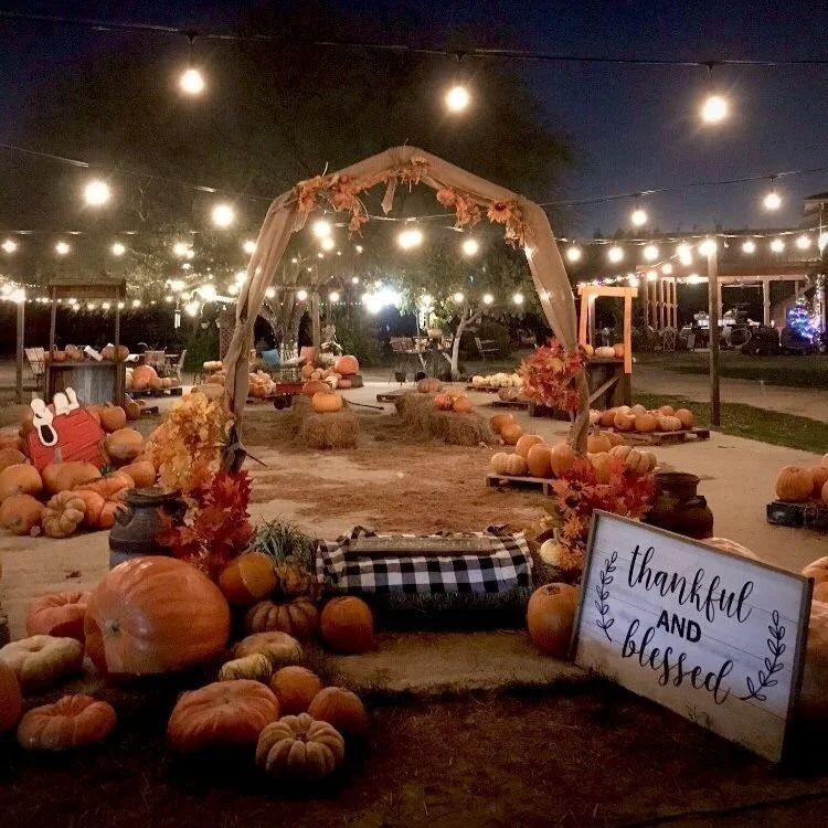 Fall Outdoor Party Toronto | Charm & Cherish Events
