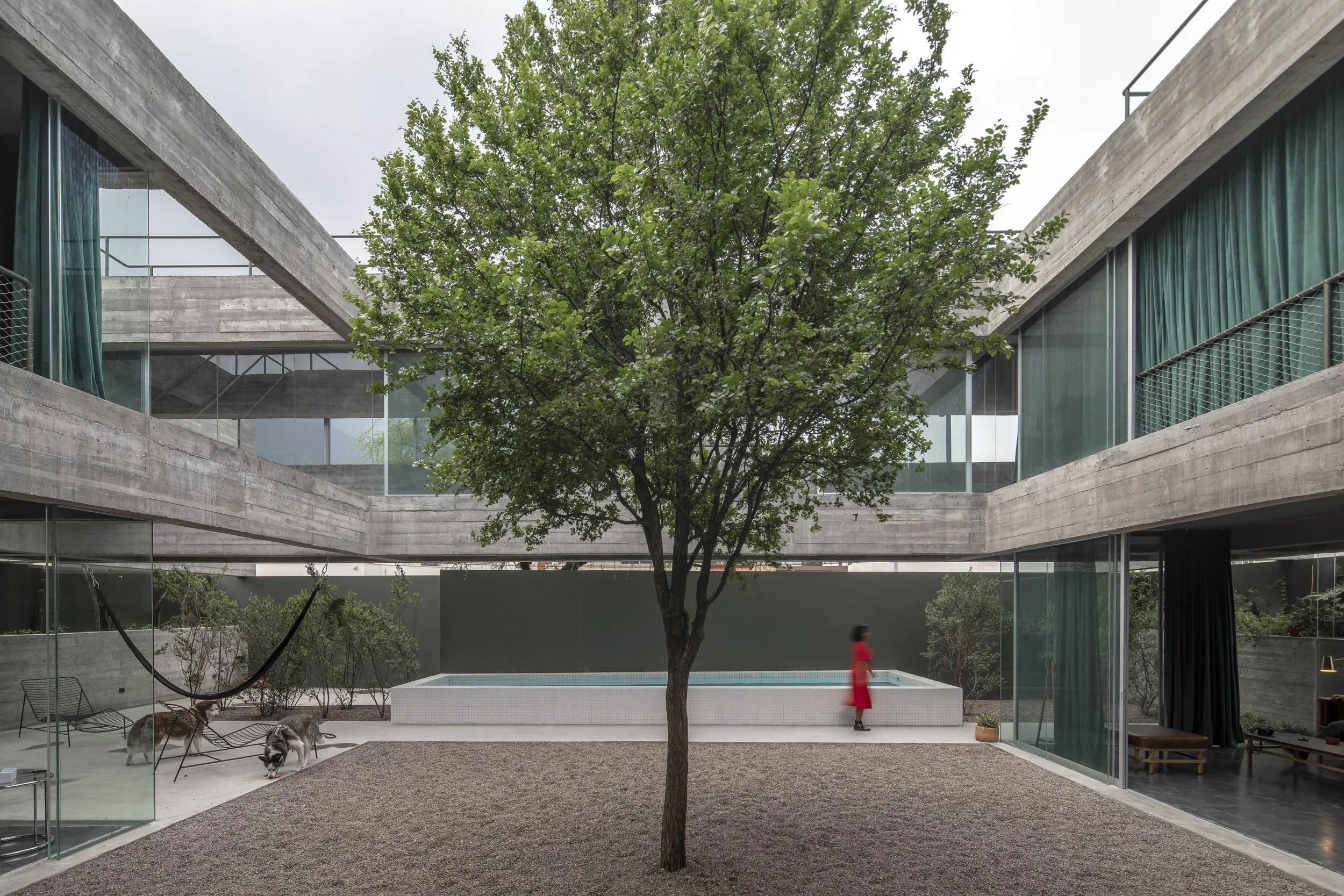 Central courtyard with tree in a concrete, brutalist house