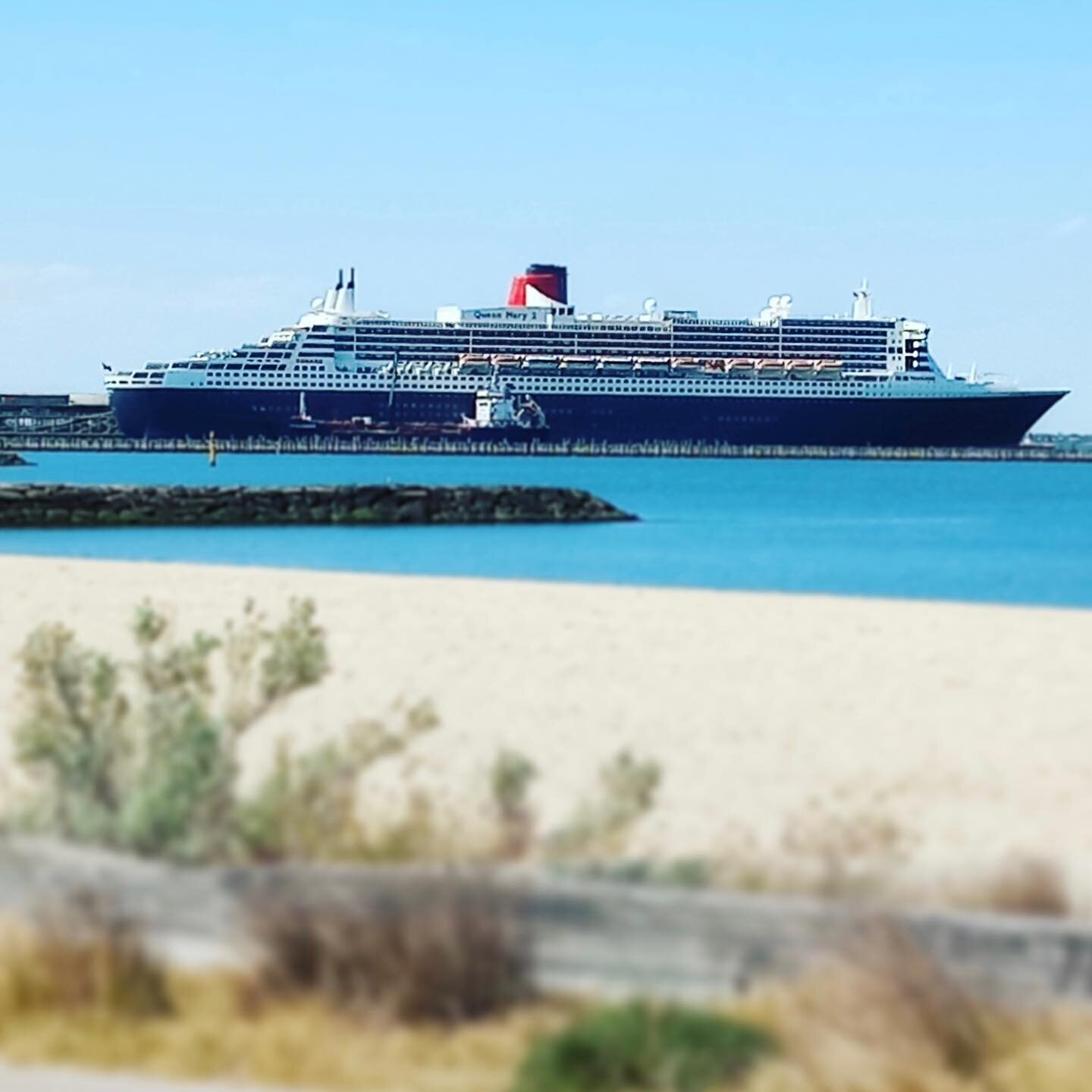This morning the Waterfront Welcomers met the 3,466 passengers and crew from the Queen Mary 2.

Welcome to Port Melbourne and the City of Port Phillip 👋

This is the largest vessel to arrive at Station Pier this year. It definitely is quite a specta