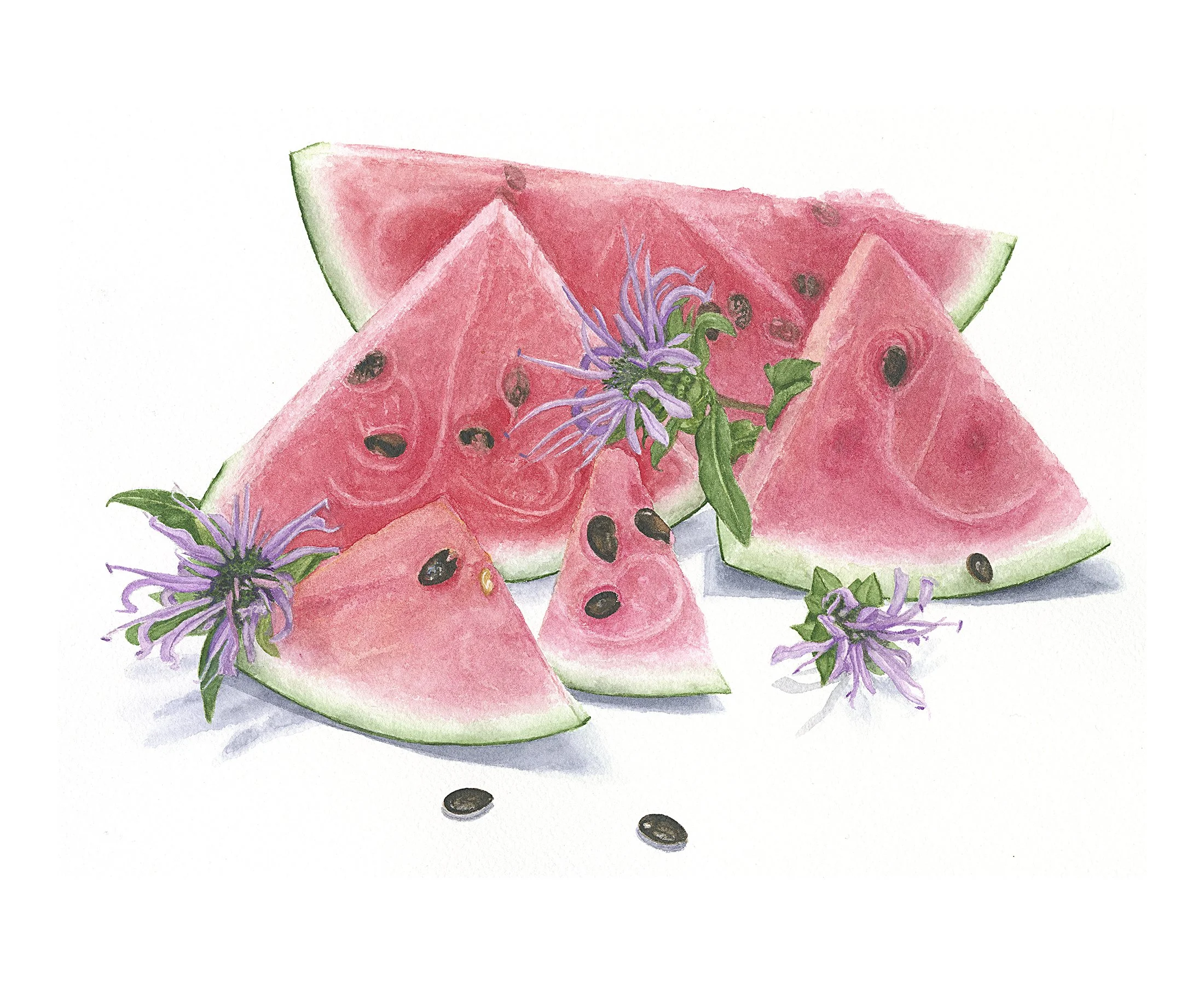 Melon + Bee Balm + Sunshine = Happiness - 8" x 10" Giclee Print
