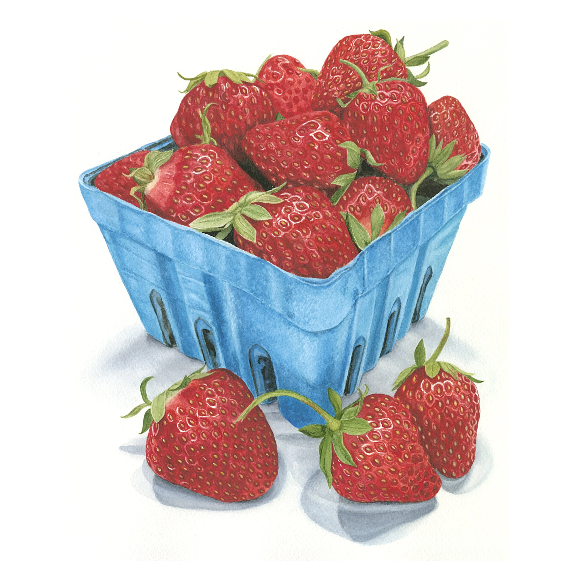 Life Is Short, Make It Sweet - Giclee Print