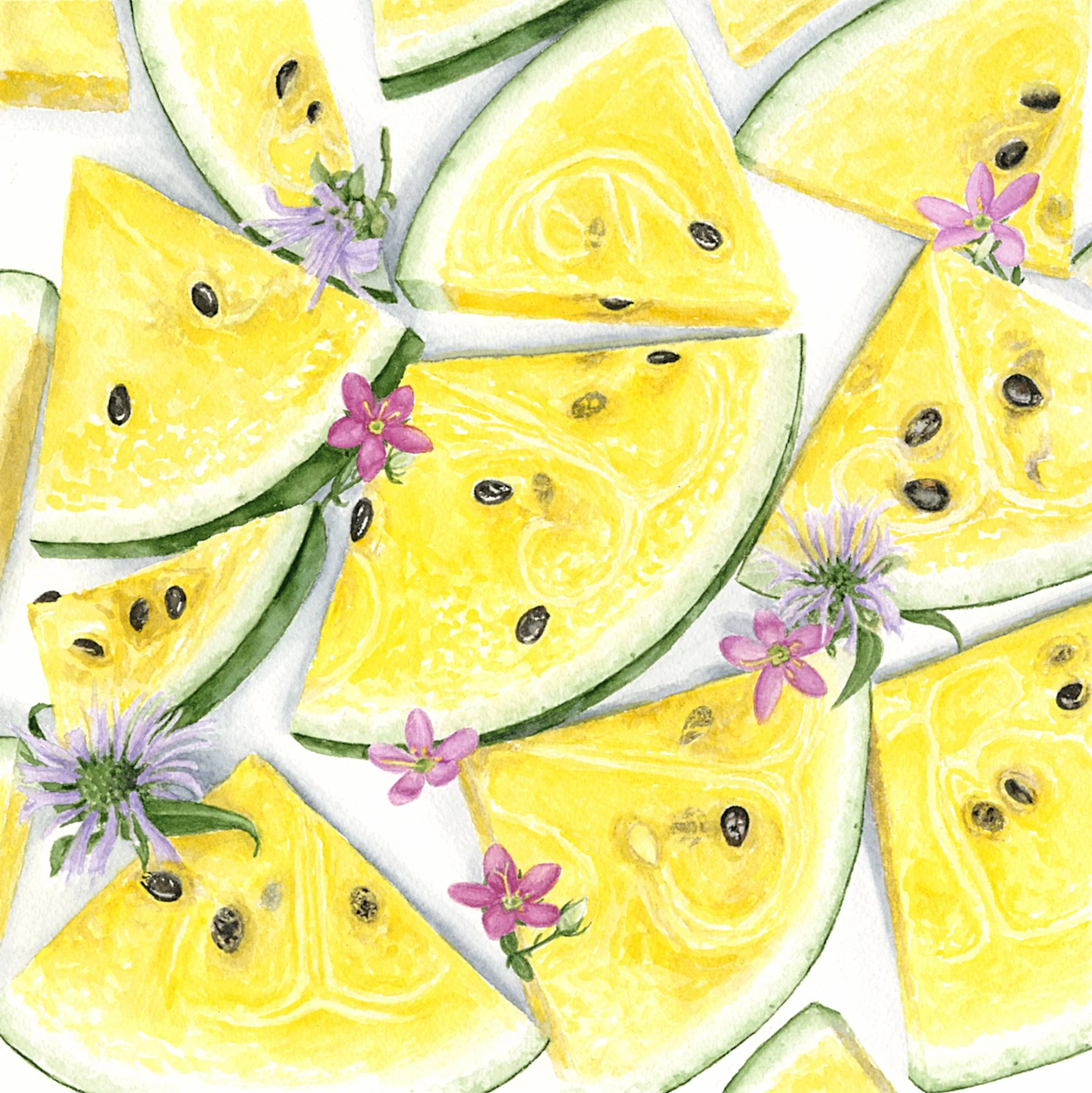 MellowYellow.jpg