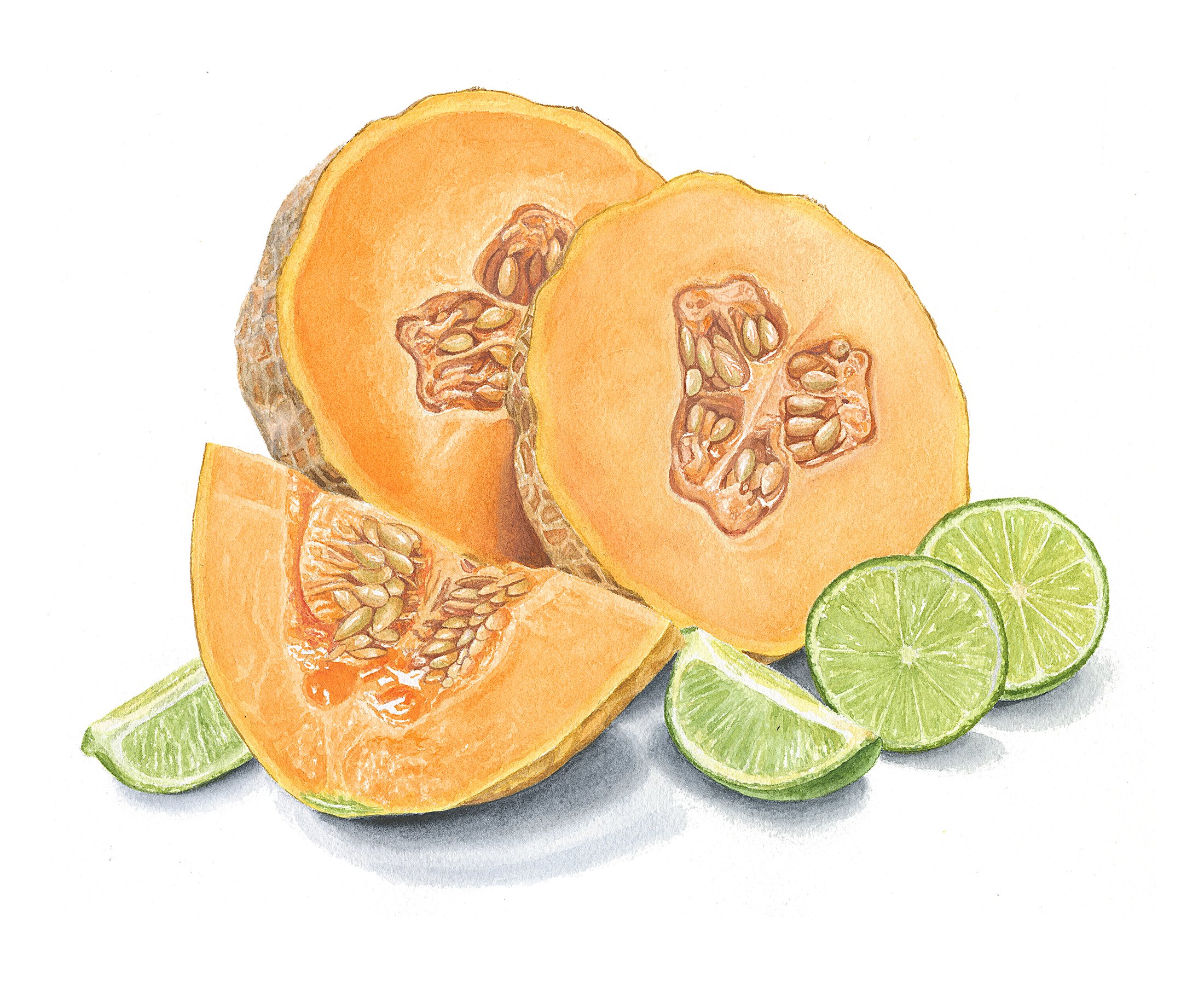 You're One In A Melon - 8" x 10"