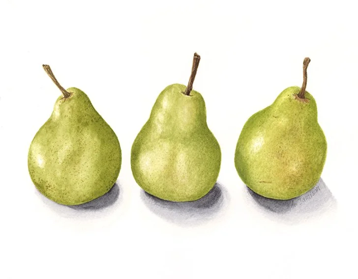 Pears_x3.jpg