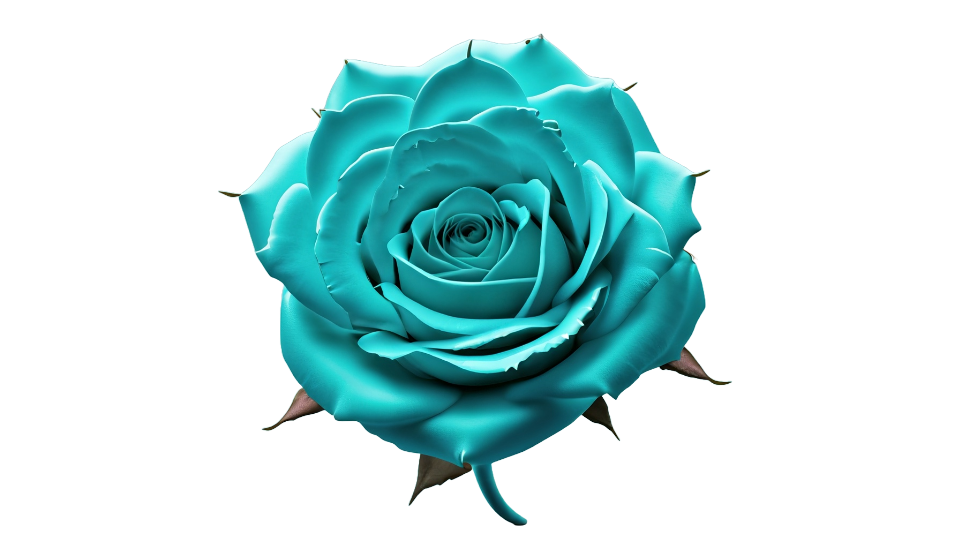 Teal rose icon.png