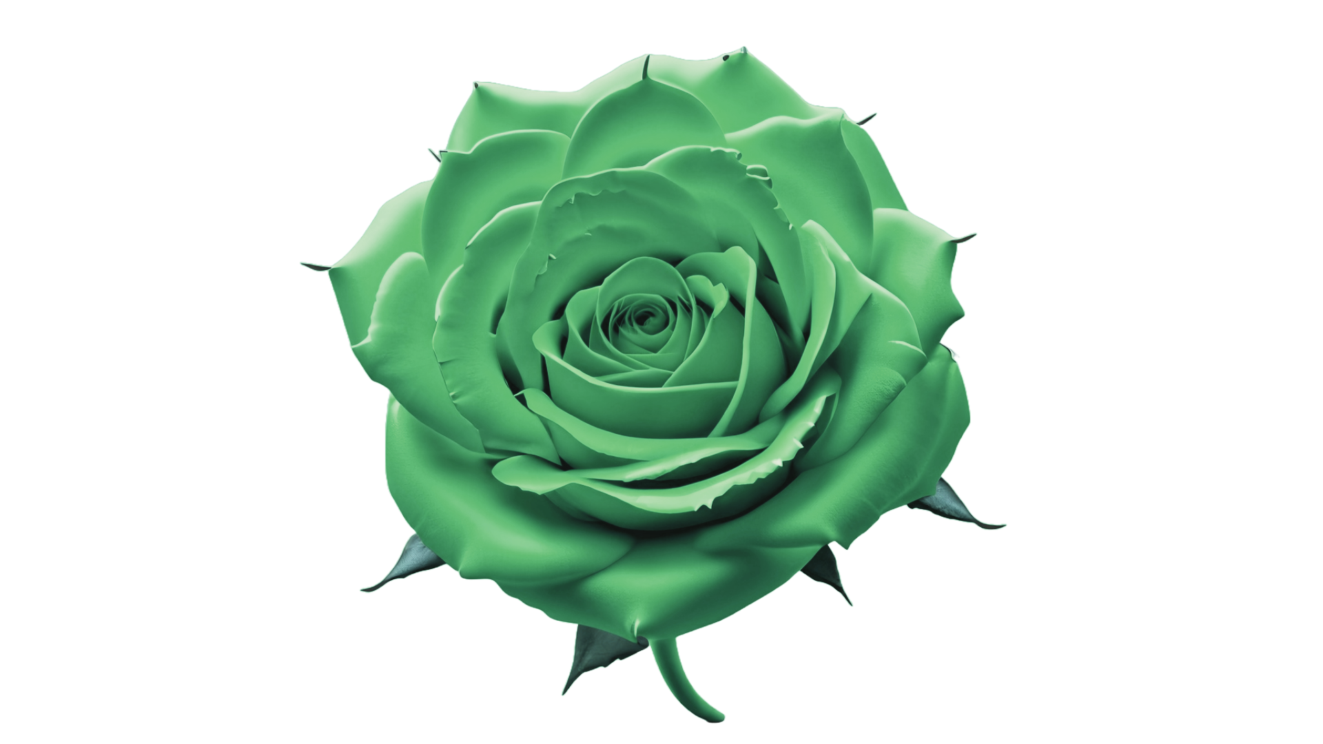 blue rose icon(1).png
