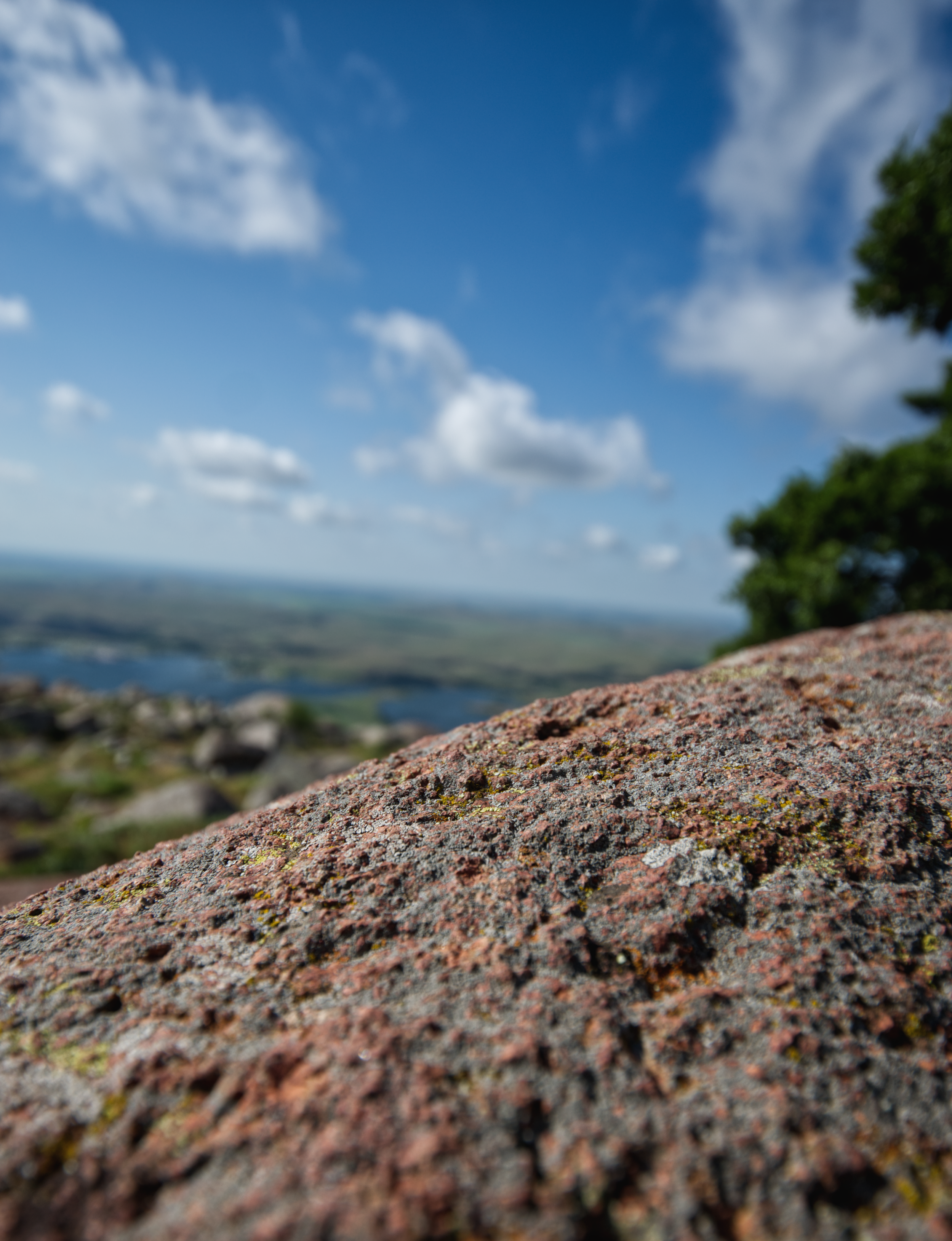 DSC_5479.png